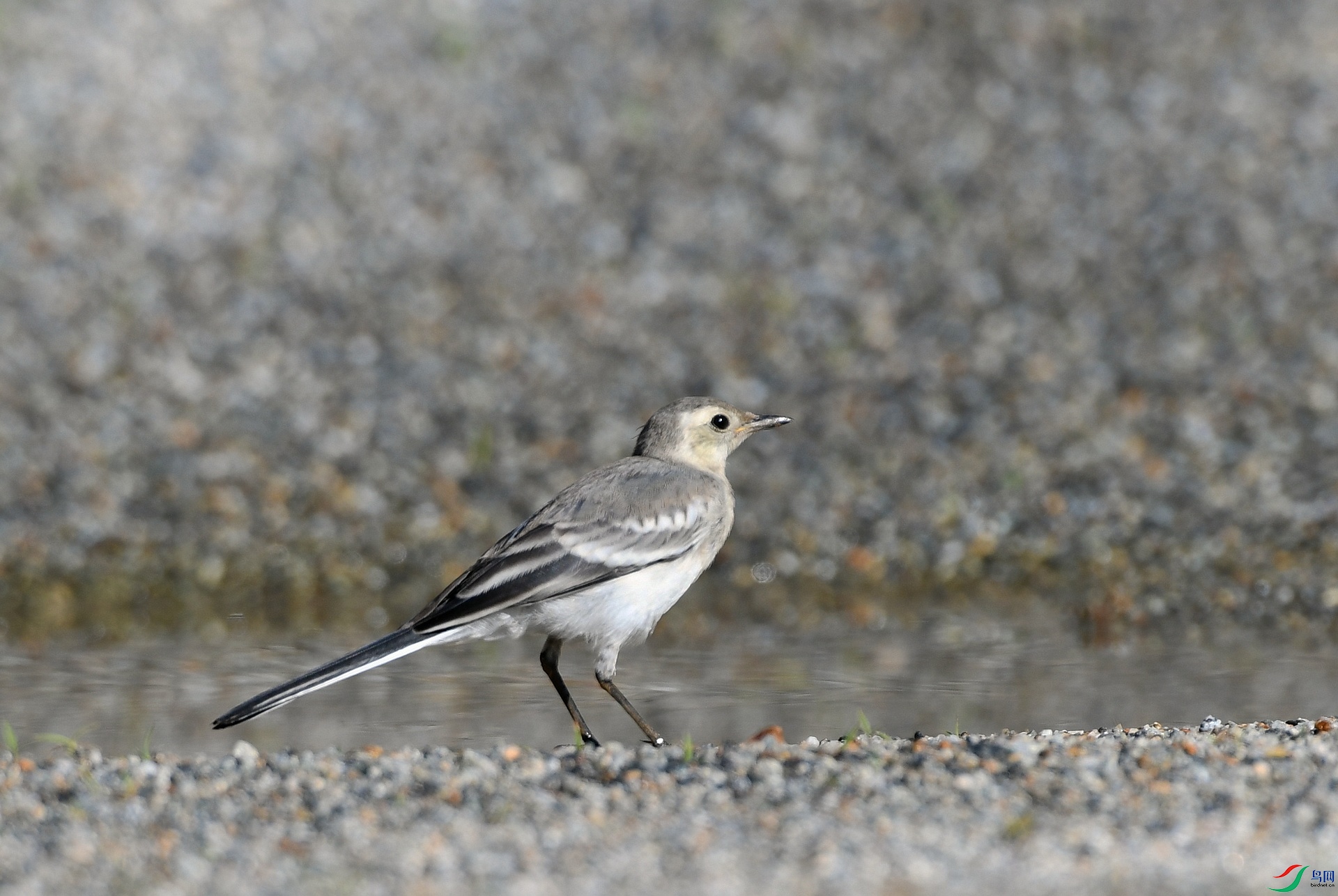 DSC_3577.jpg