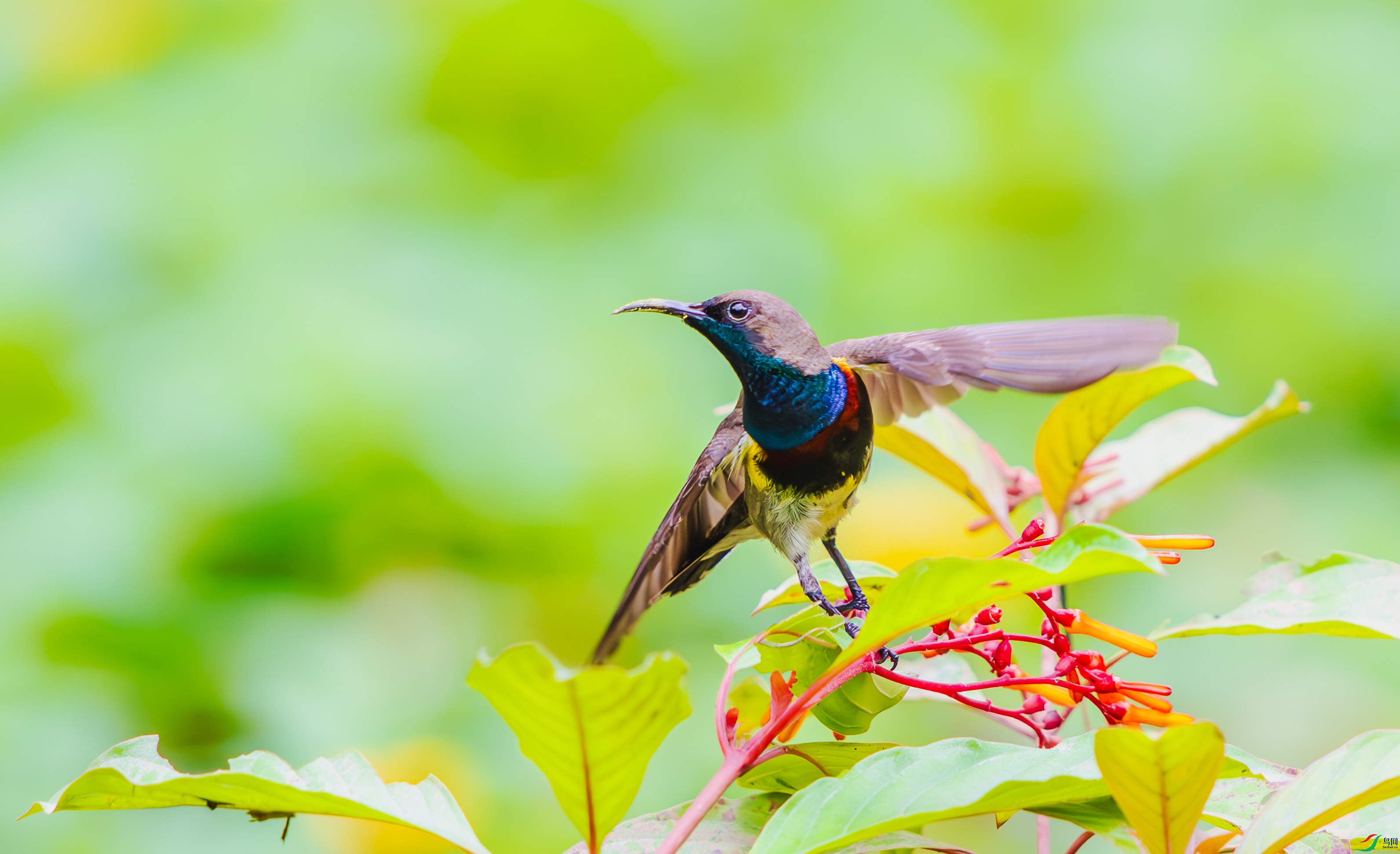 _DSC8155 (2)-����ǿ-NR_1.jpg