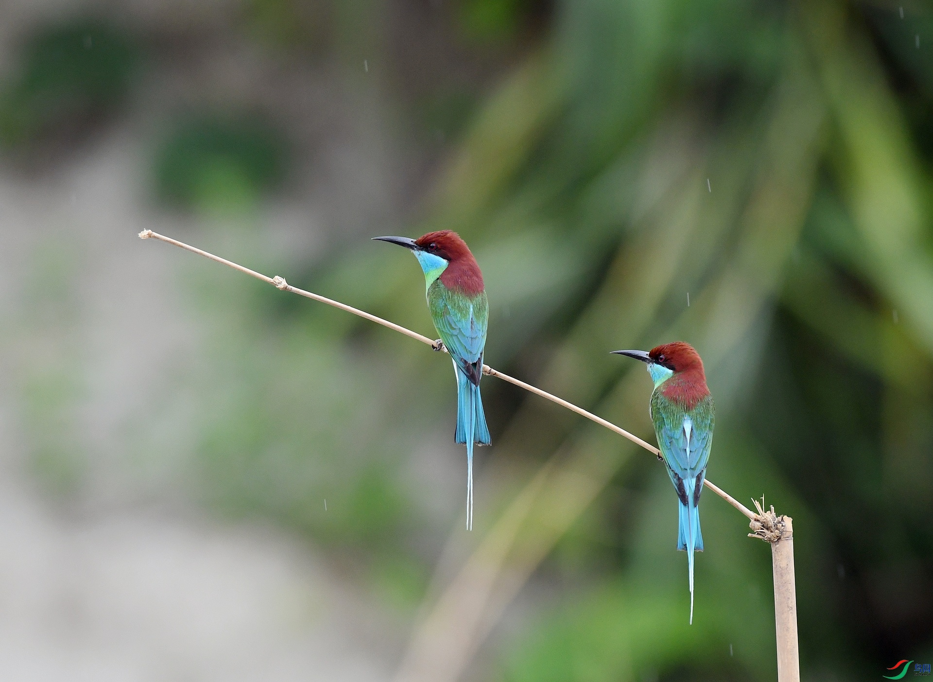 DSC_0639.jpg