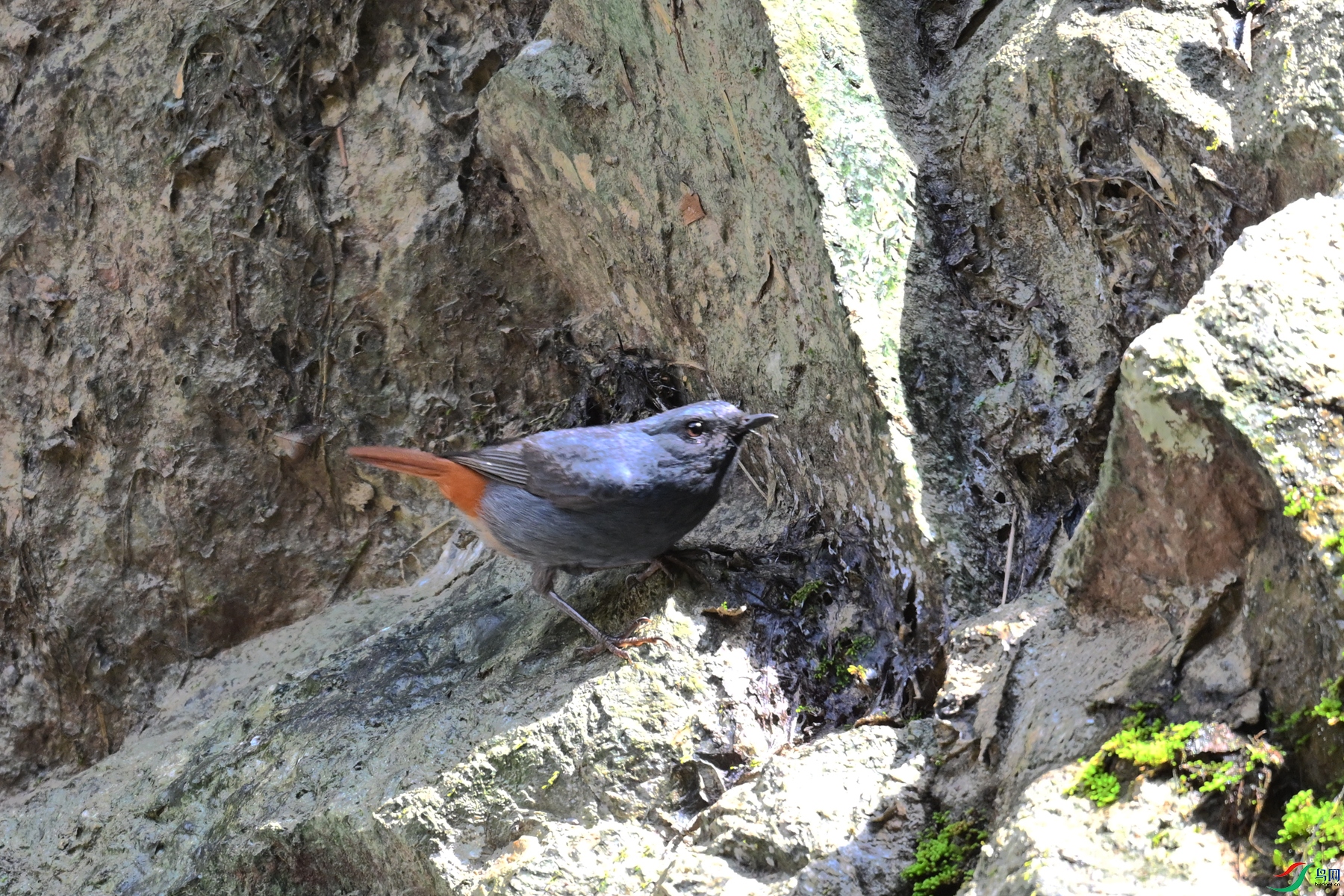 DSC_2247.JPG