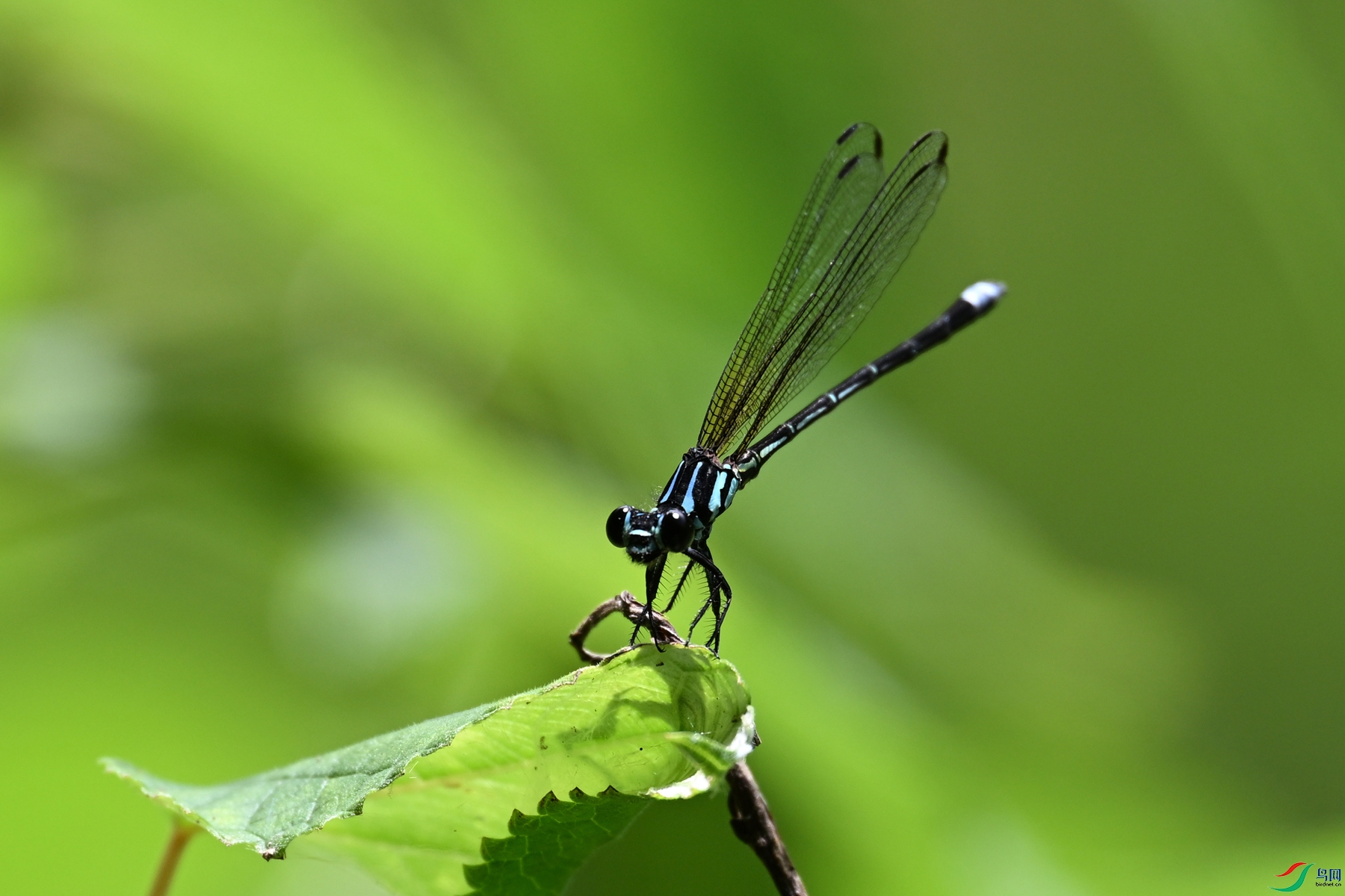DSC_2342.JPG