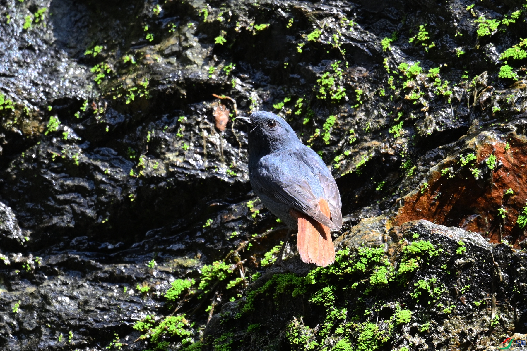 DSC_2253.JPG