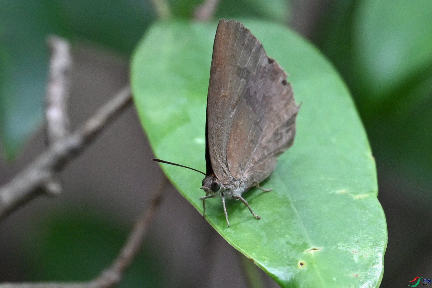 DSC_2303.JPG