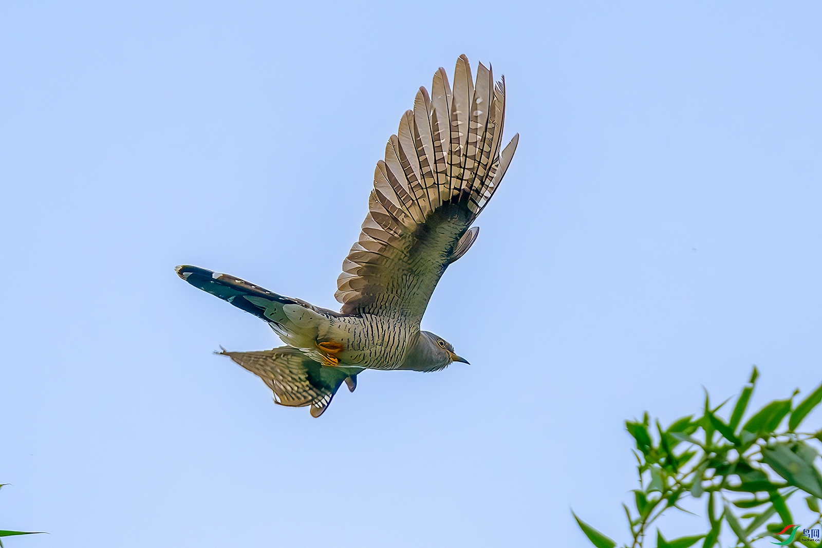DSC_2056b.jpg