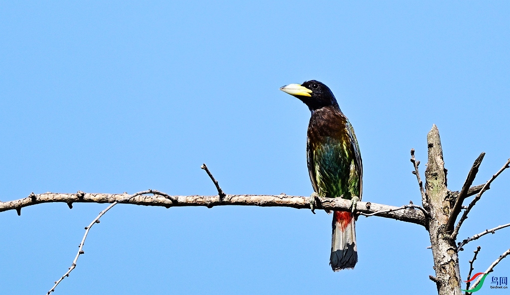 DSC_2731.JPG