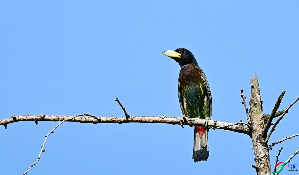 DSC_2736.JPG