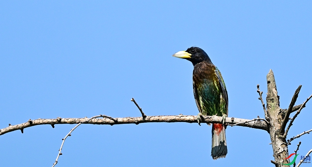 DSC_2752.JPG