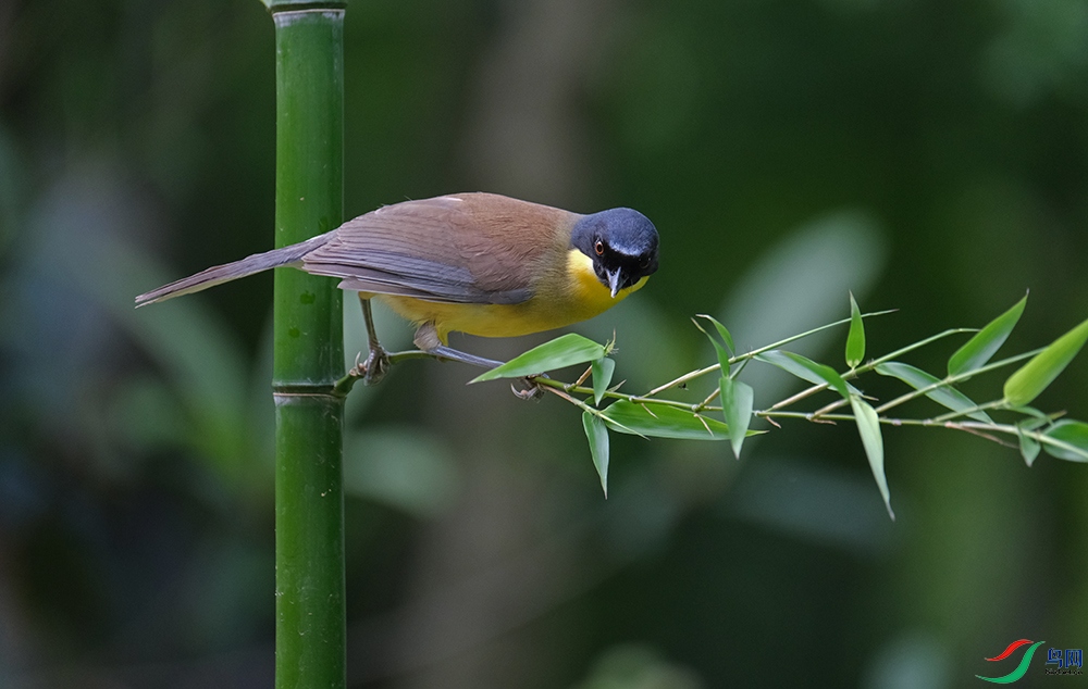 DSCF6415.1.jpg