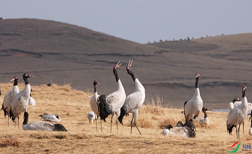 DSCF6845.1.jpg