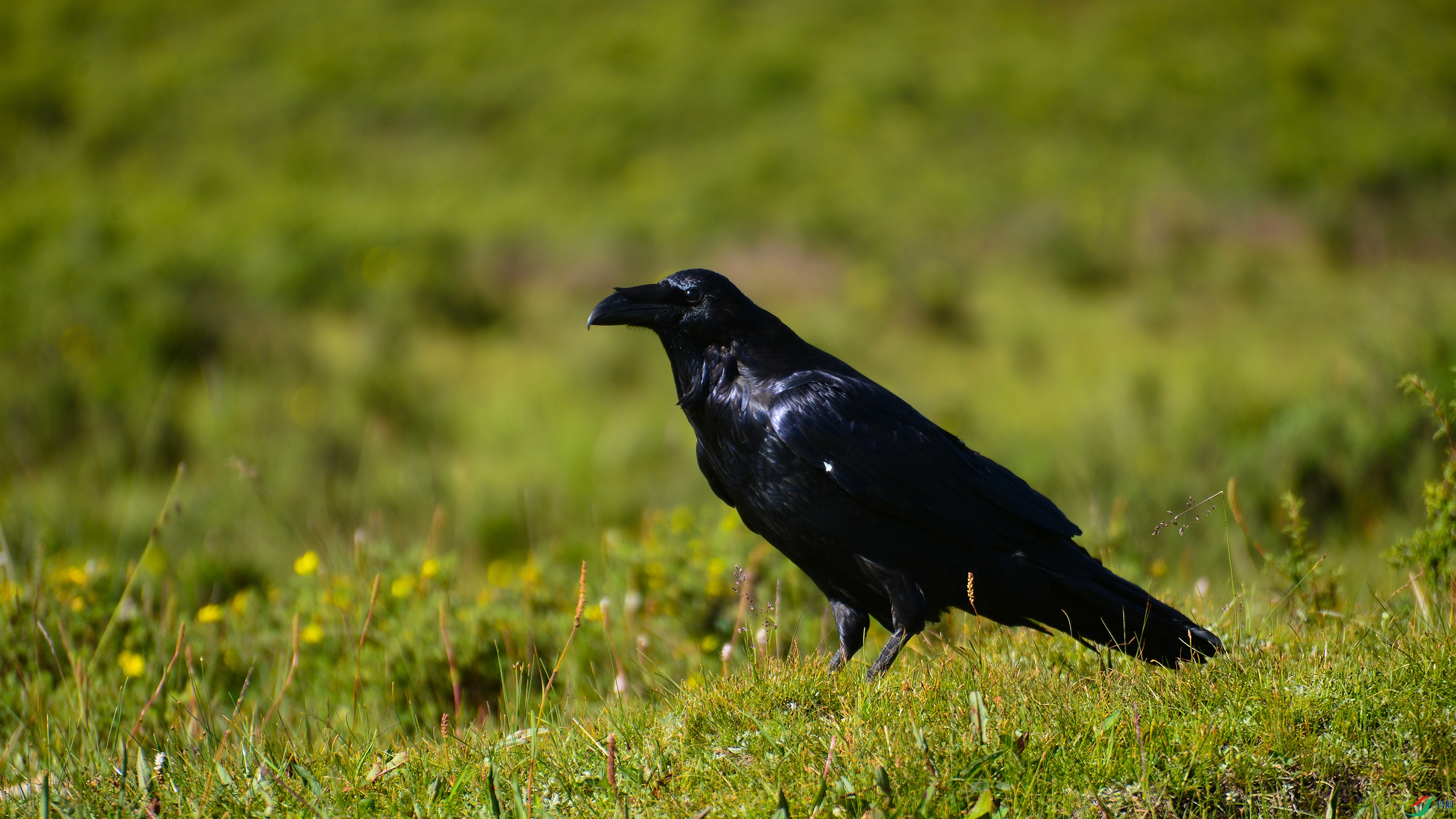 DSC_6363 33.jpg
