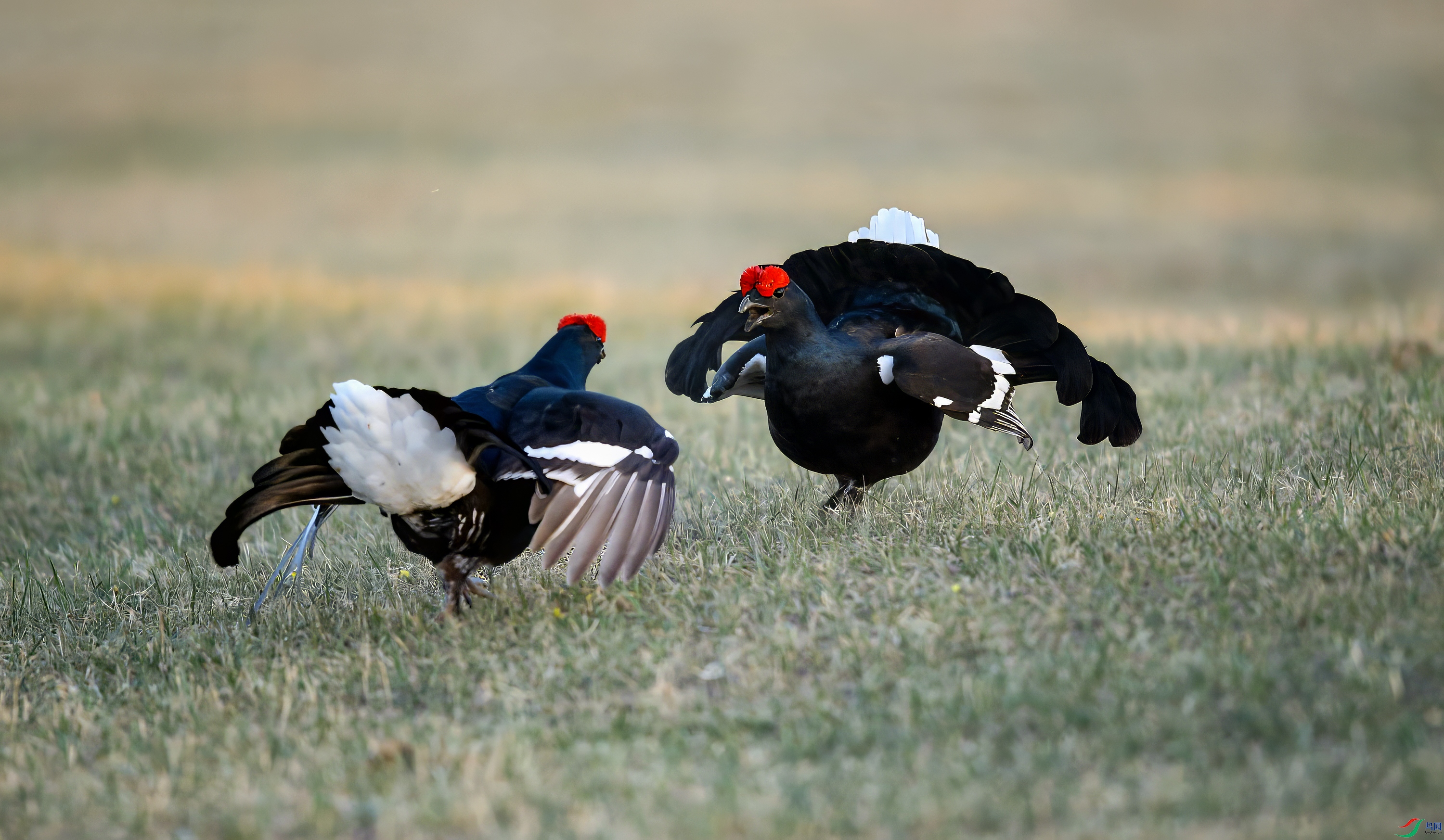 AY8Q4561_����.jpg