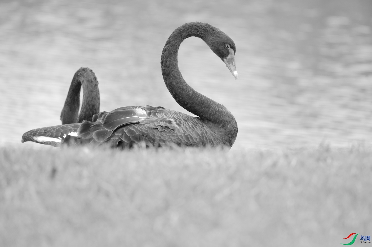 DSC_3021zzz_������С.jpg