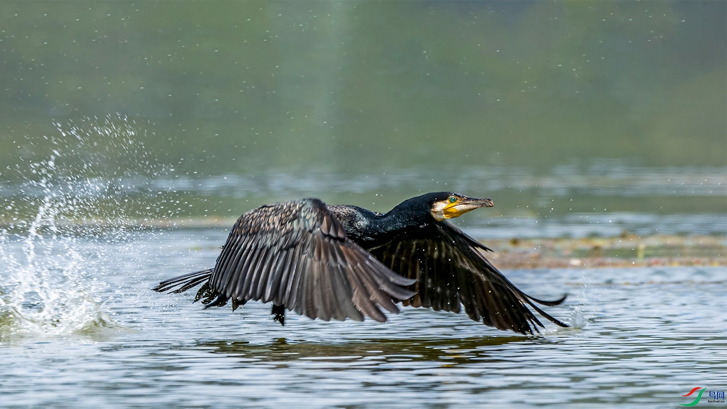 DSC_8727 .jpg