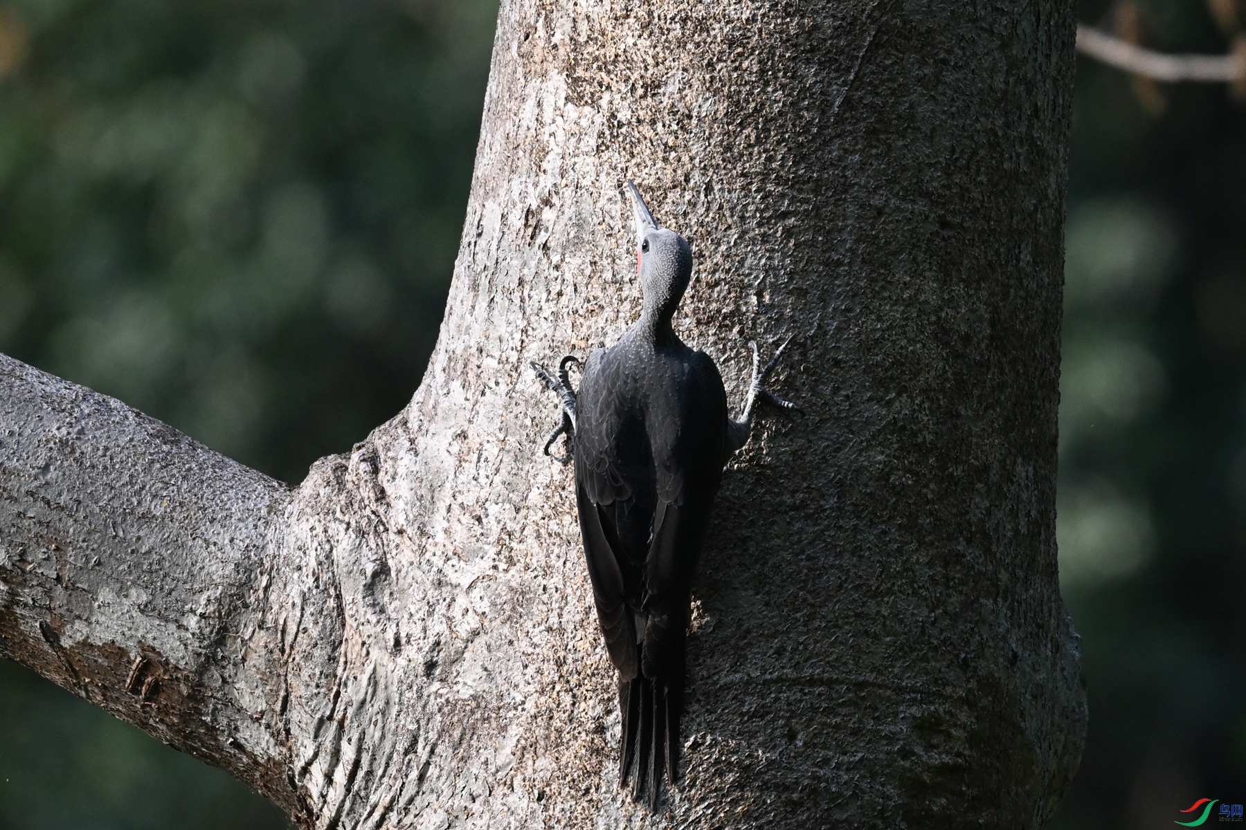 DSC_5361.JPG