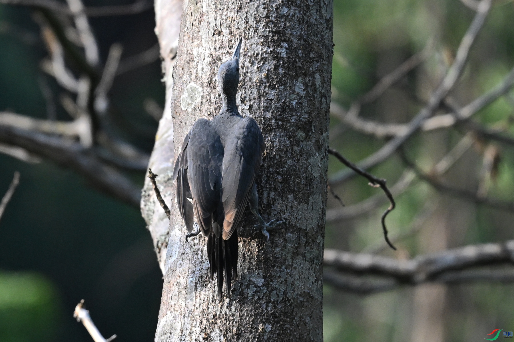DSC_5342.JPG