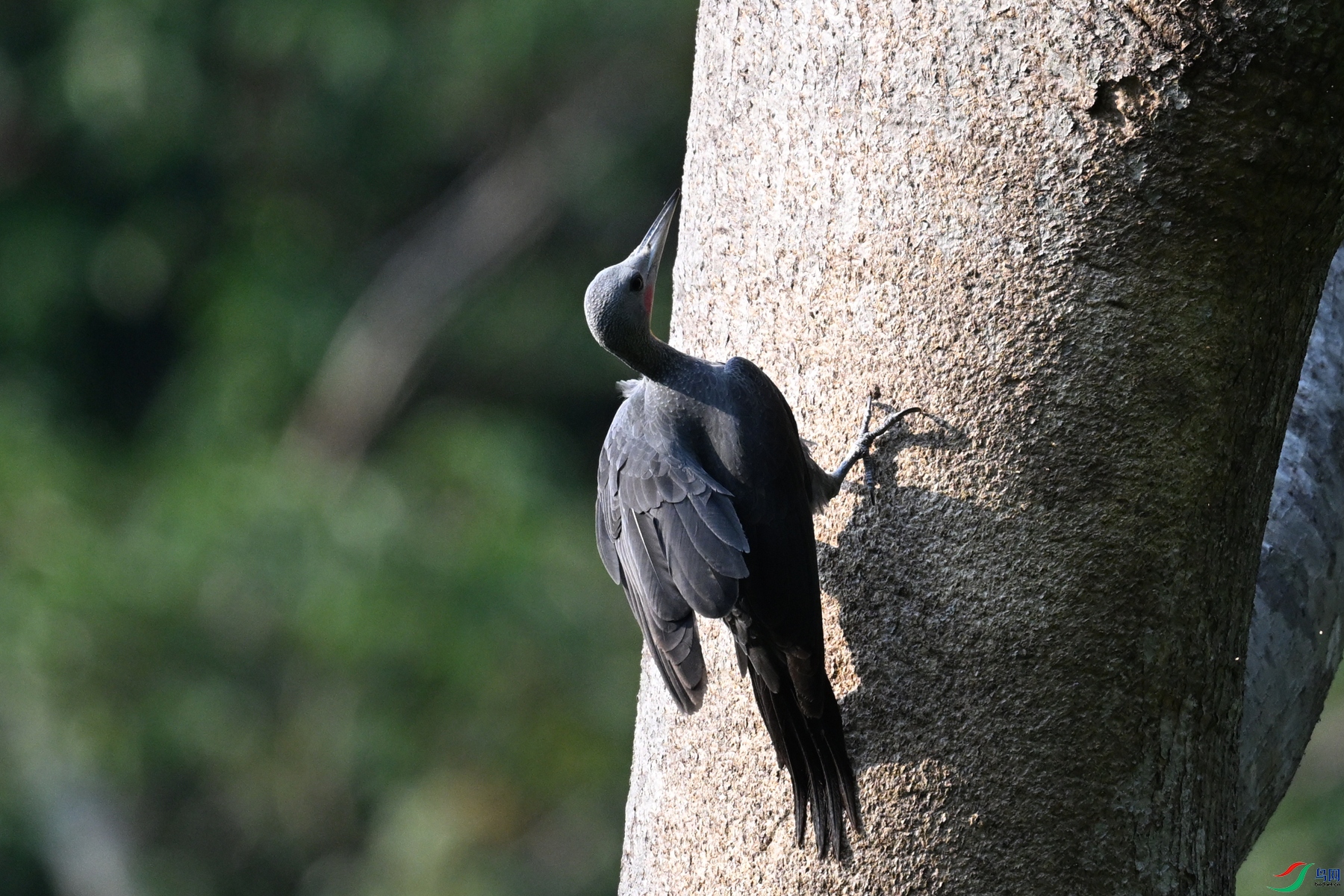DSC_5369.JPG