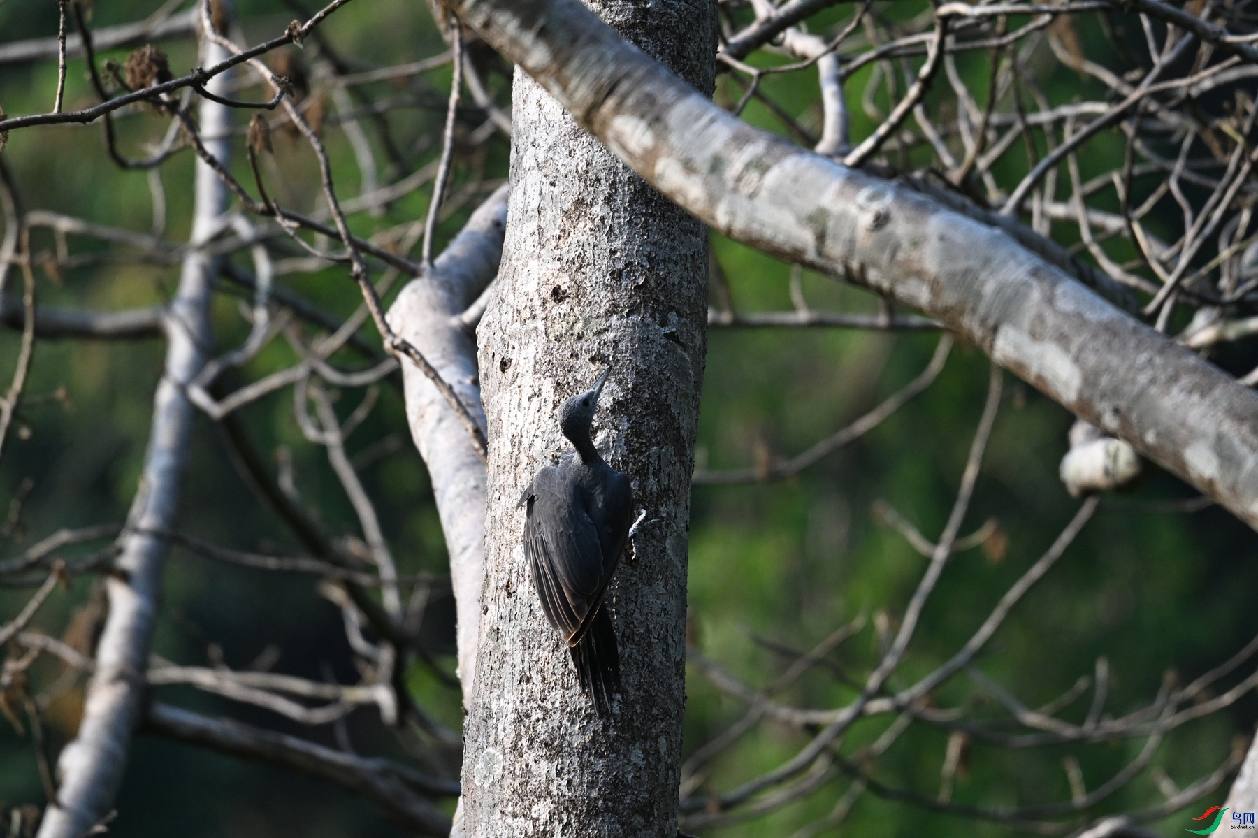 DSC_5347.JPG