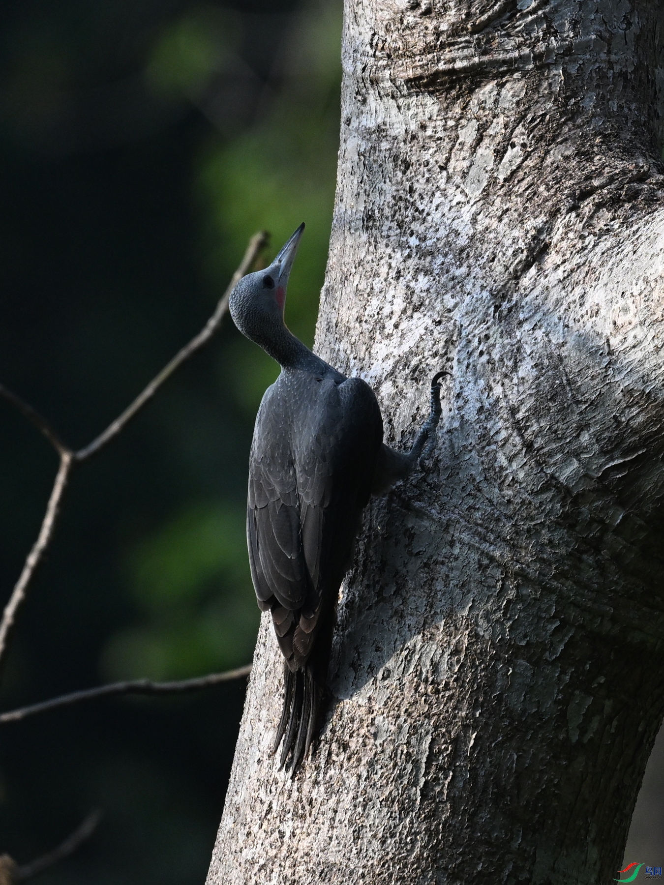 DSC_5397.JPG
