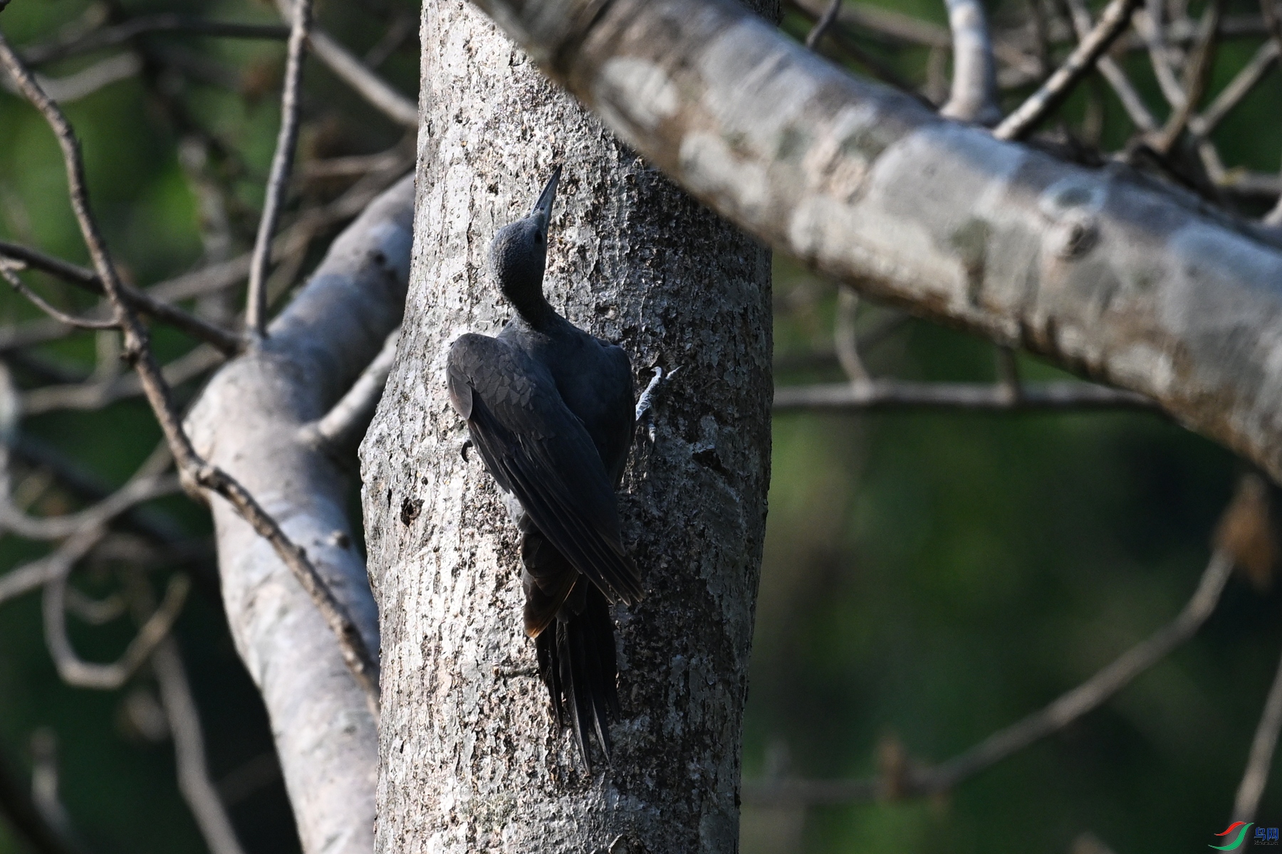 DSC_5349.JPG