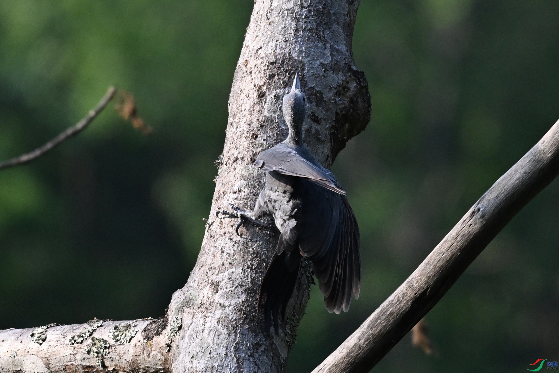 DSC_5351.JPG