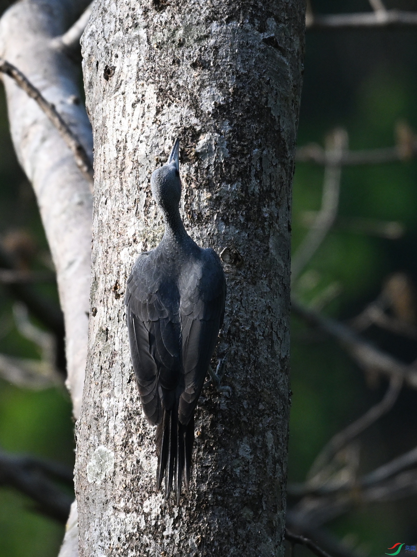 DSC_5404.JPG