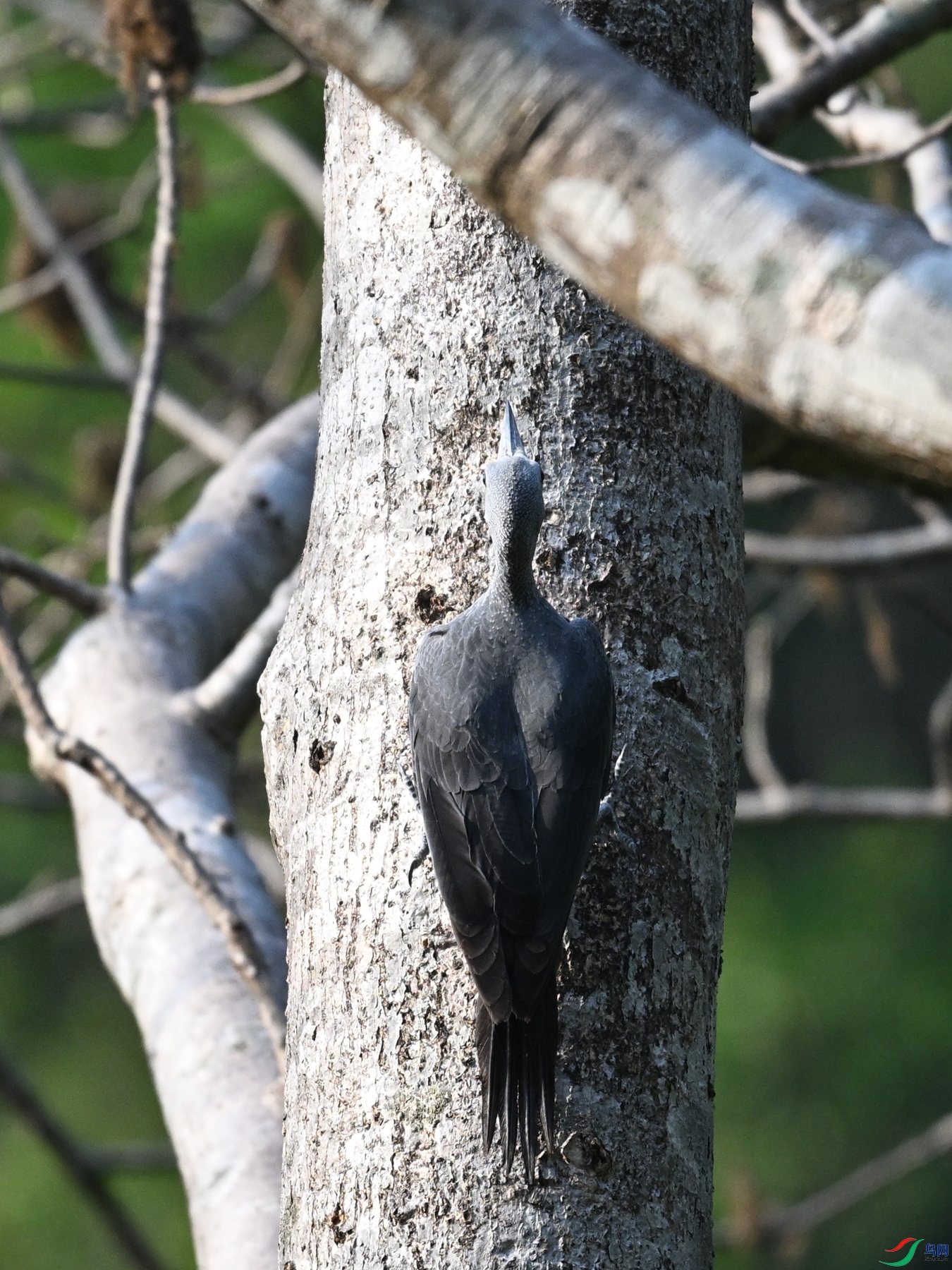 DSC_5406.JPG
