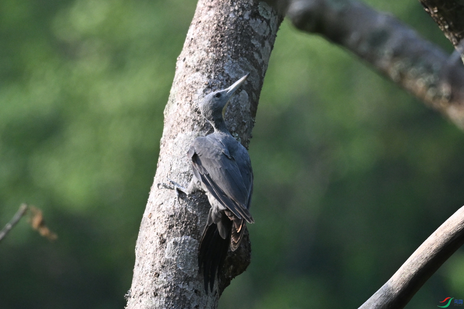 DSC_5356.JPG