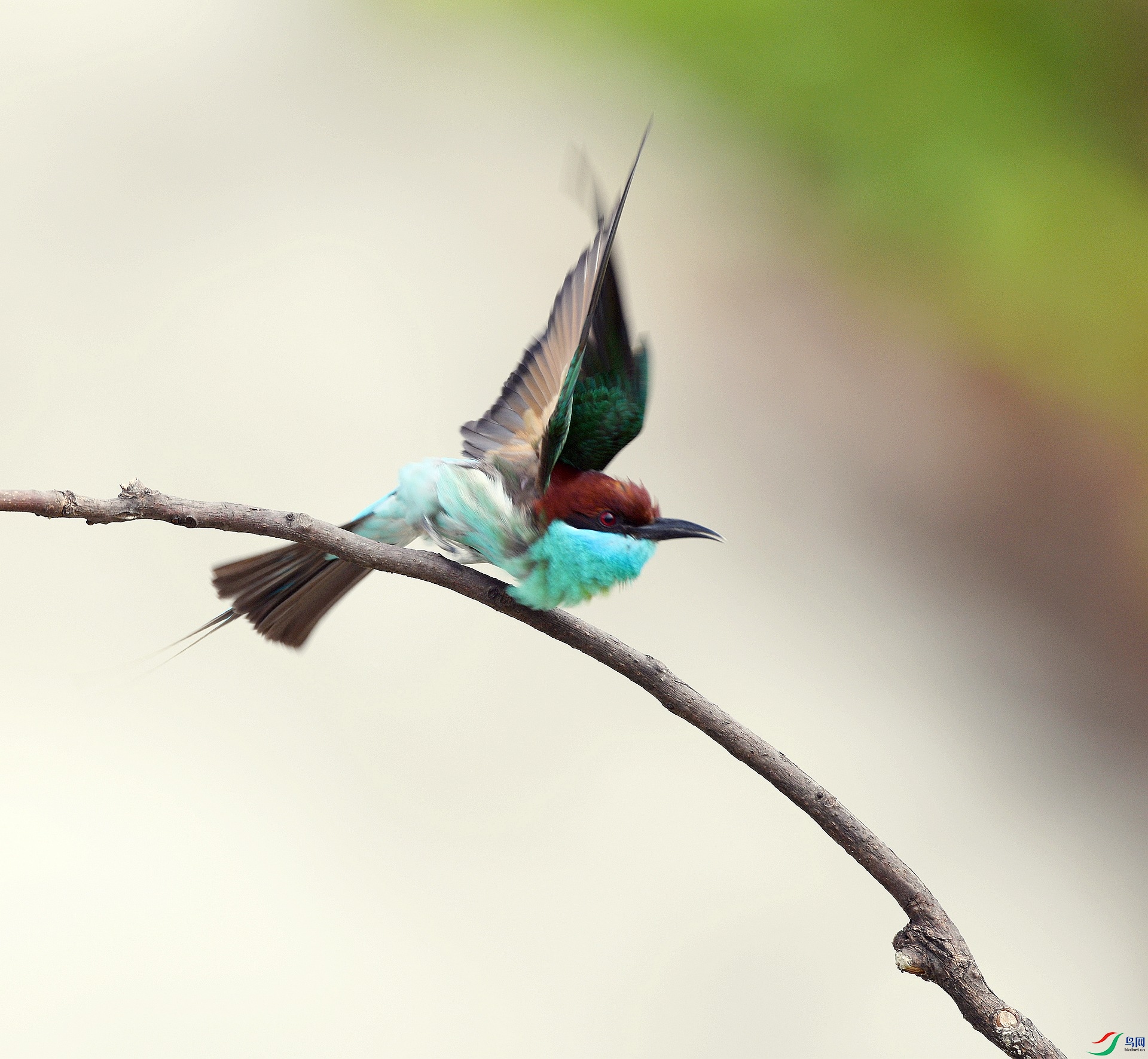 DSC_5825.jpg