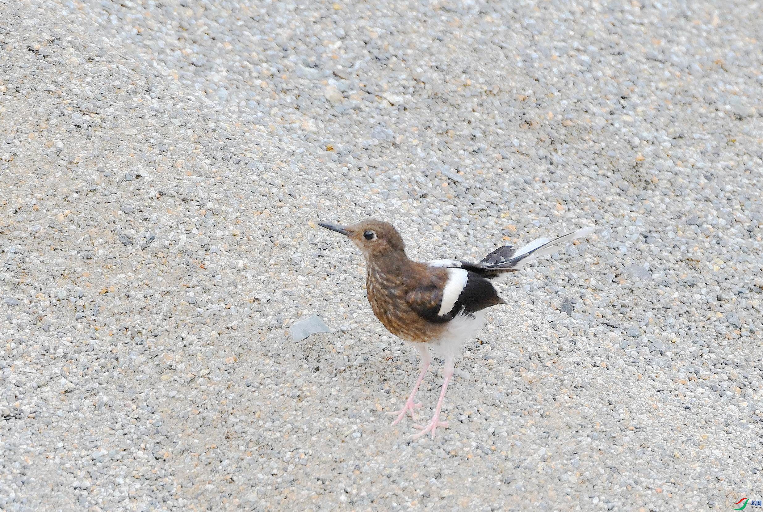 DSC_4054.jpg