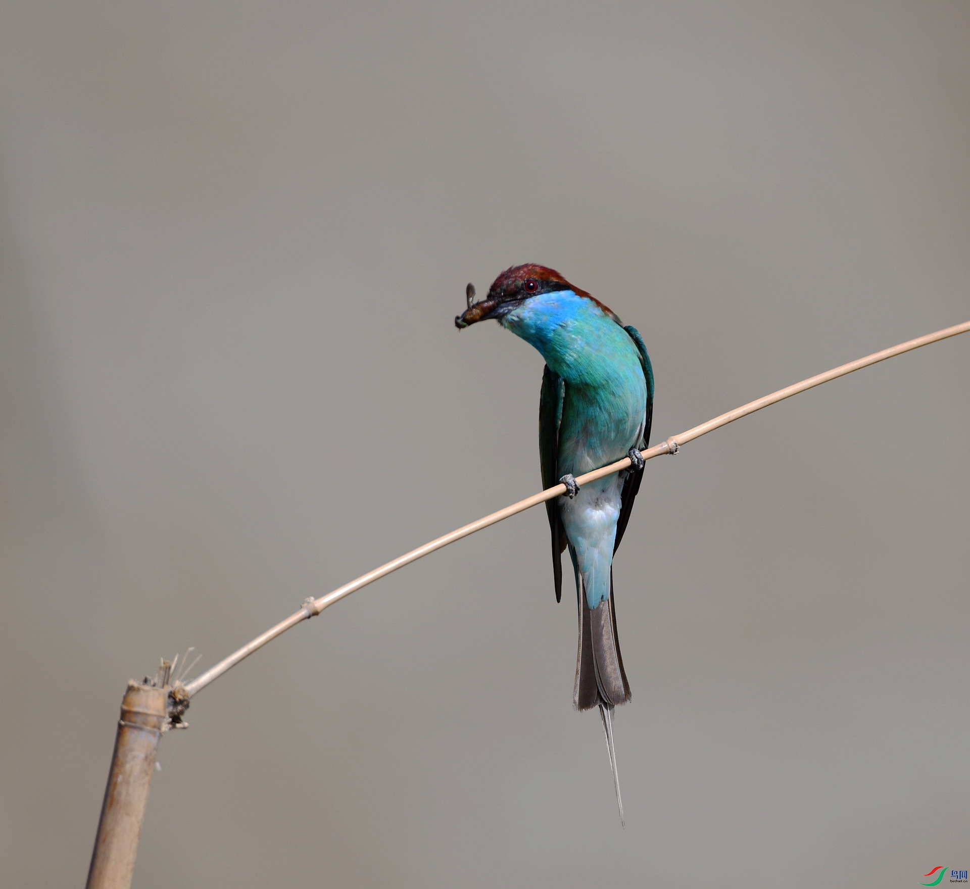 DSC_6317.jpg