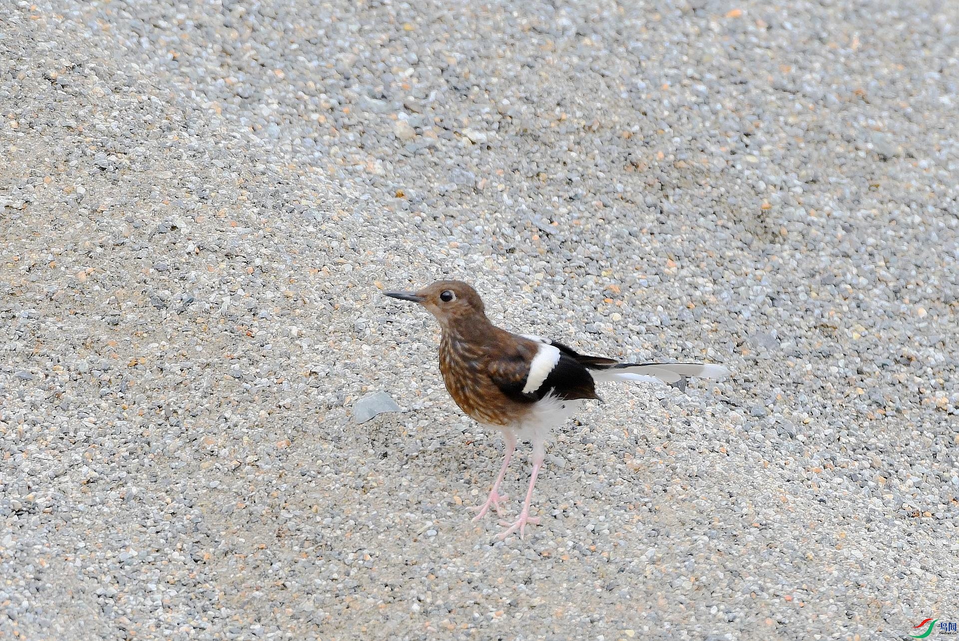 DSC_4058.jpg