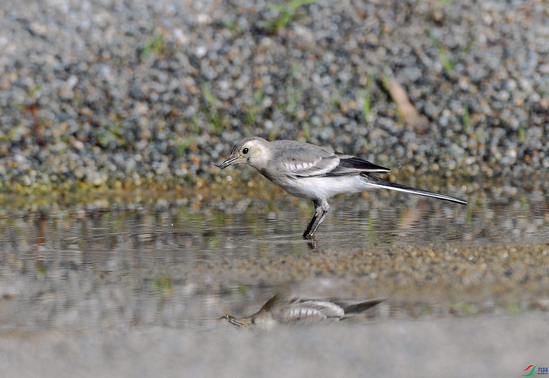 DSC_3555.jpg