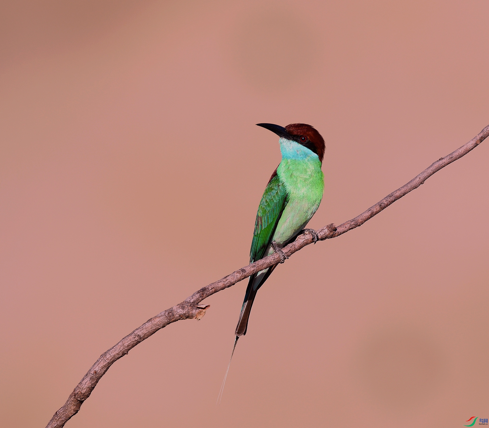 DSC_3076.jpg