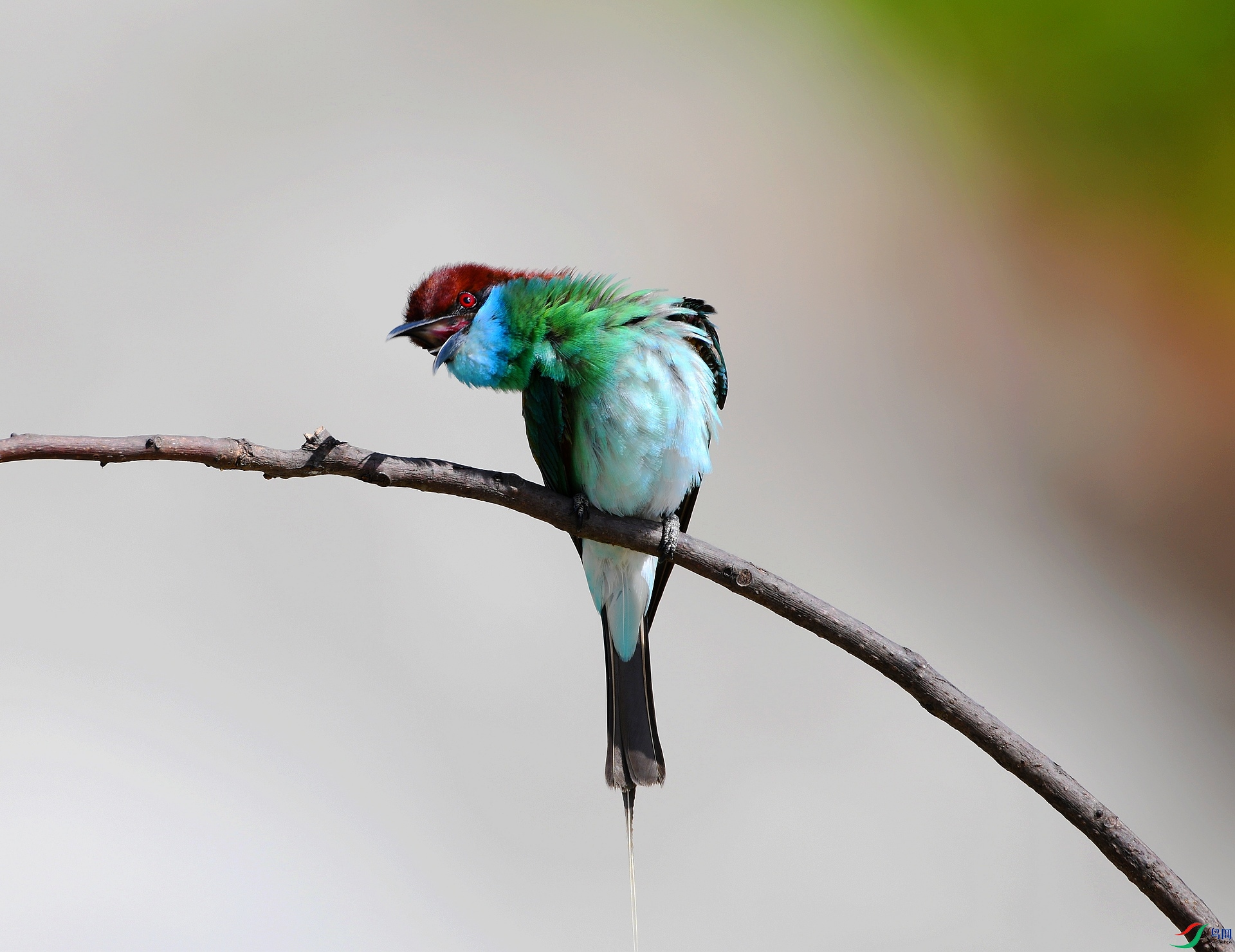 DSC_6594.jpg