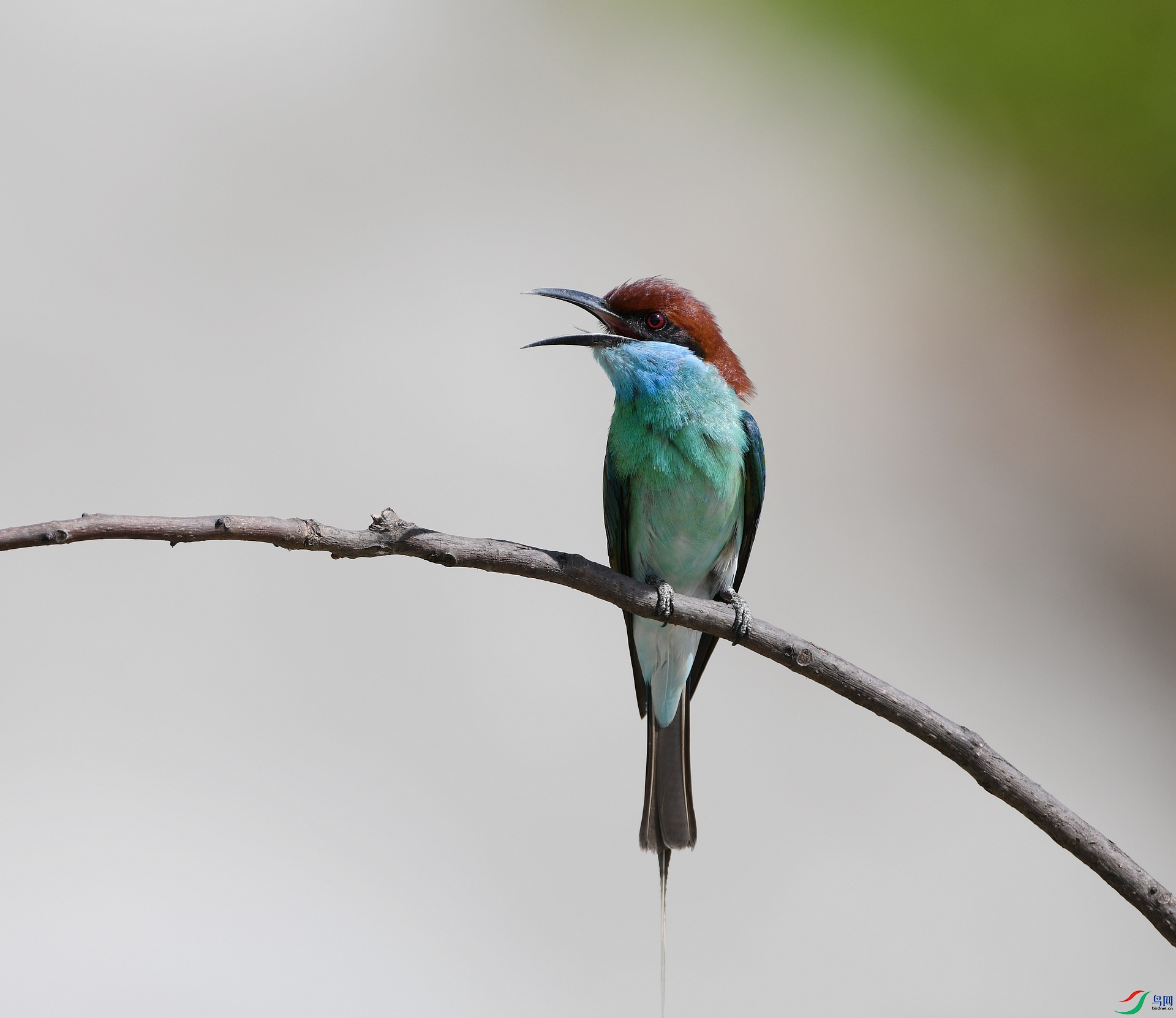 DSC_6637.jpg