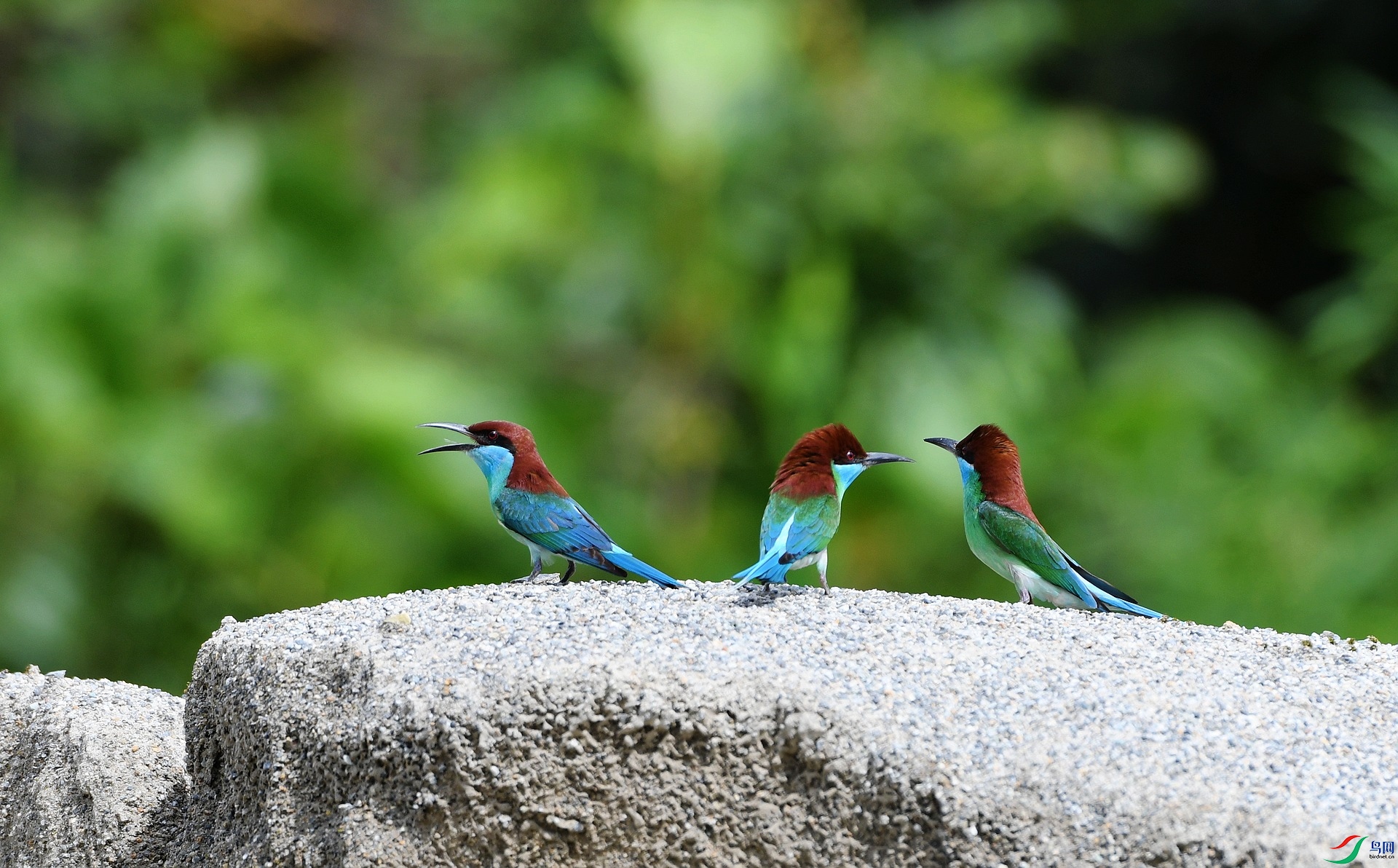 DSC_4132.jpg