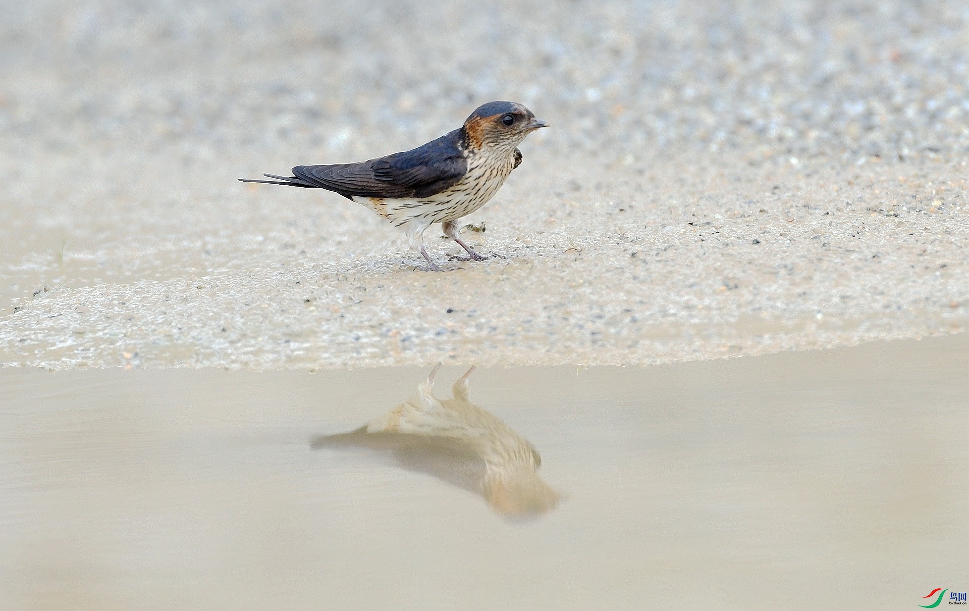 DSC_3011.jpg