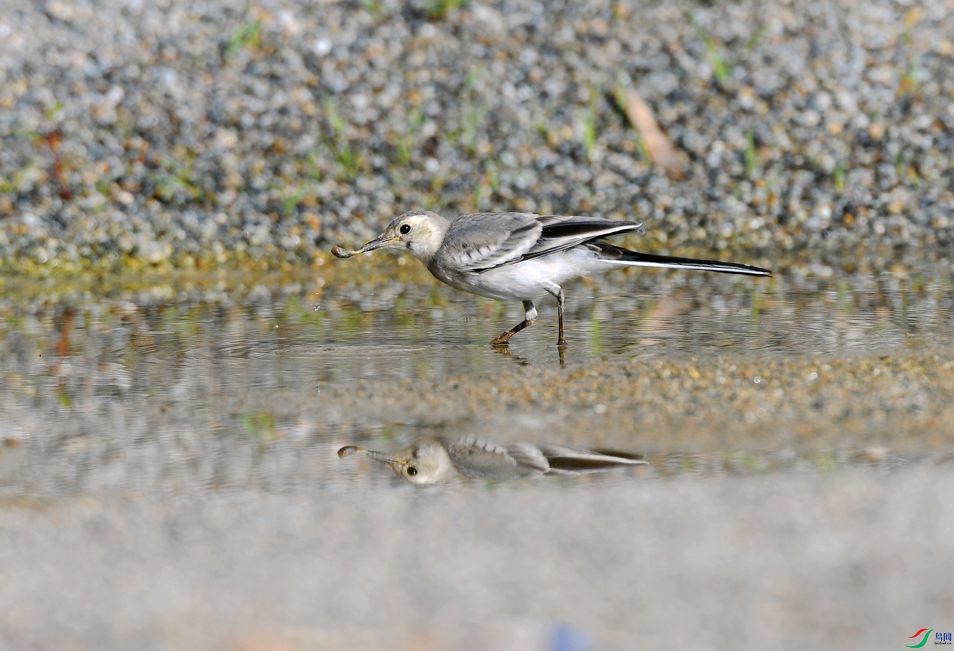 DSC_3554.jpg