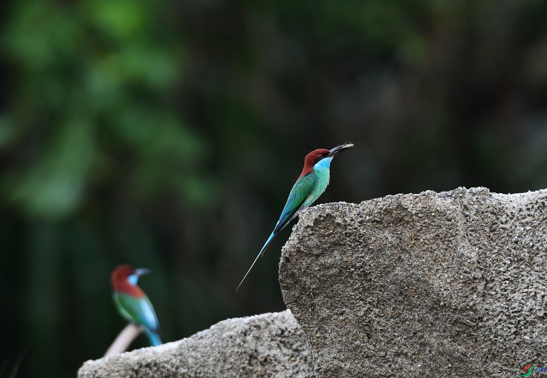 DSC_2943.jpg