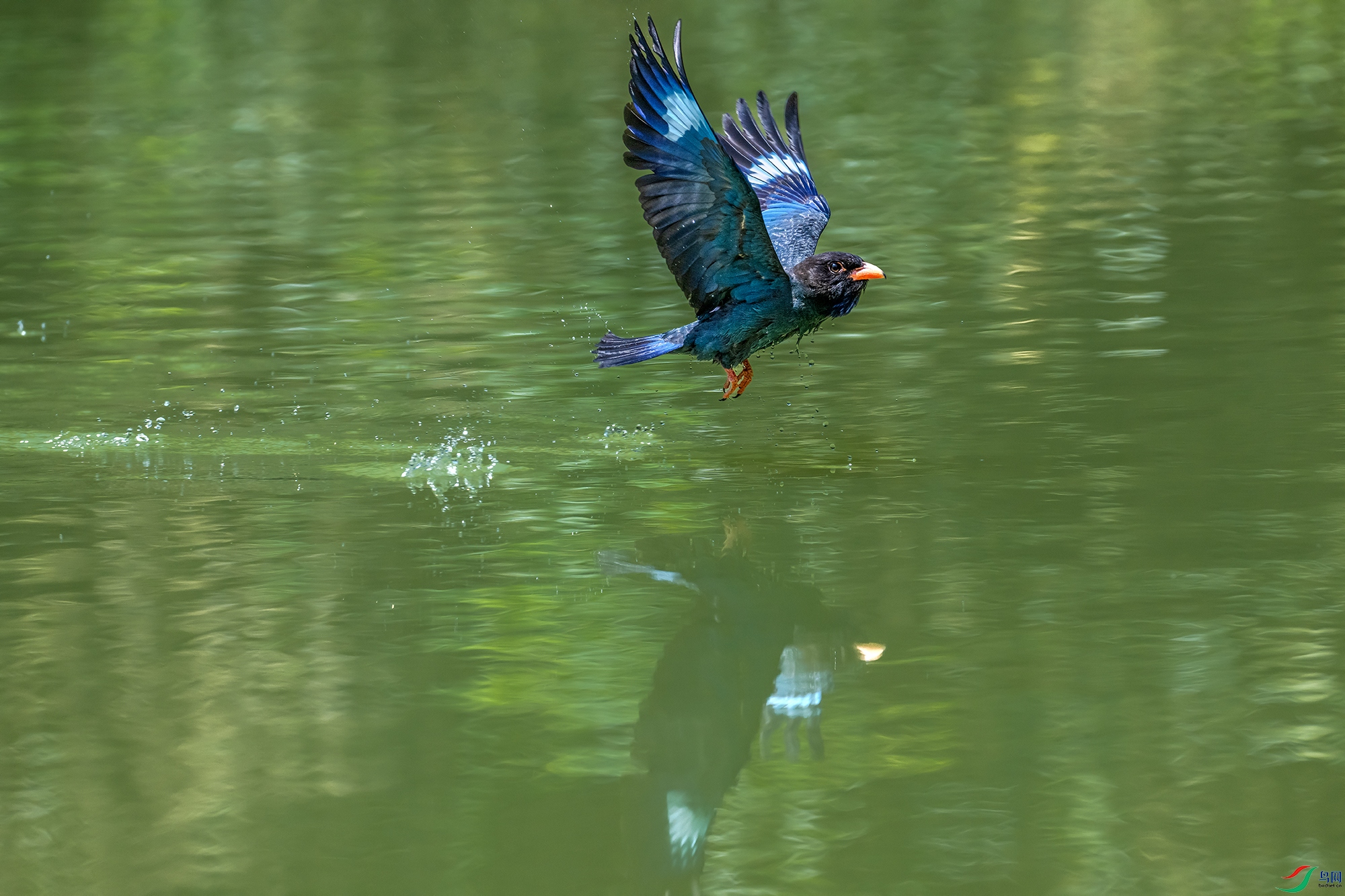 DSC_3814-1.jpg