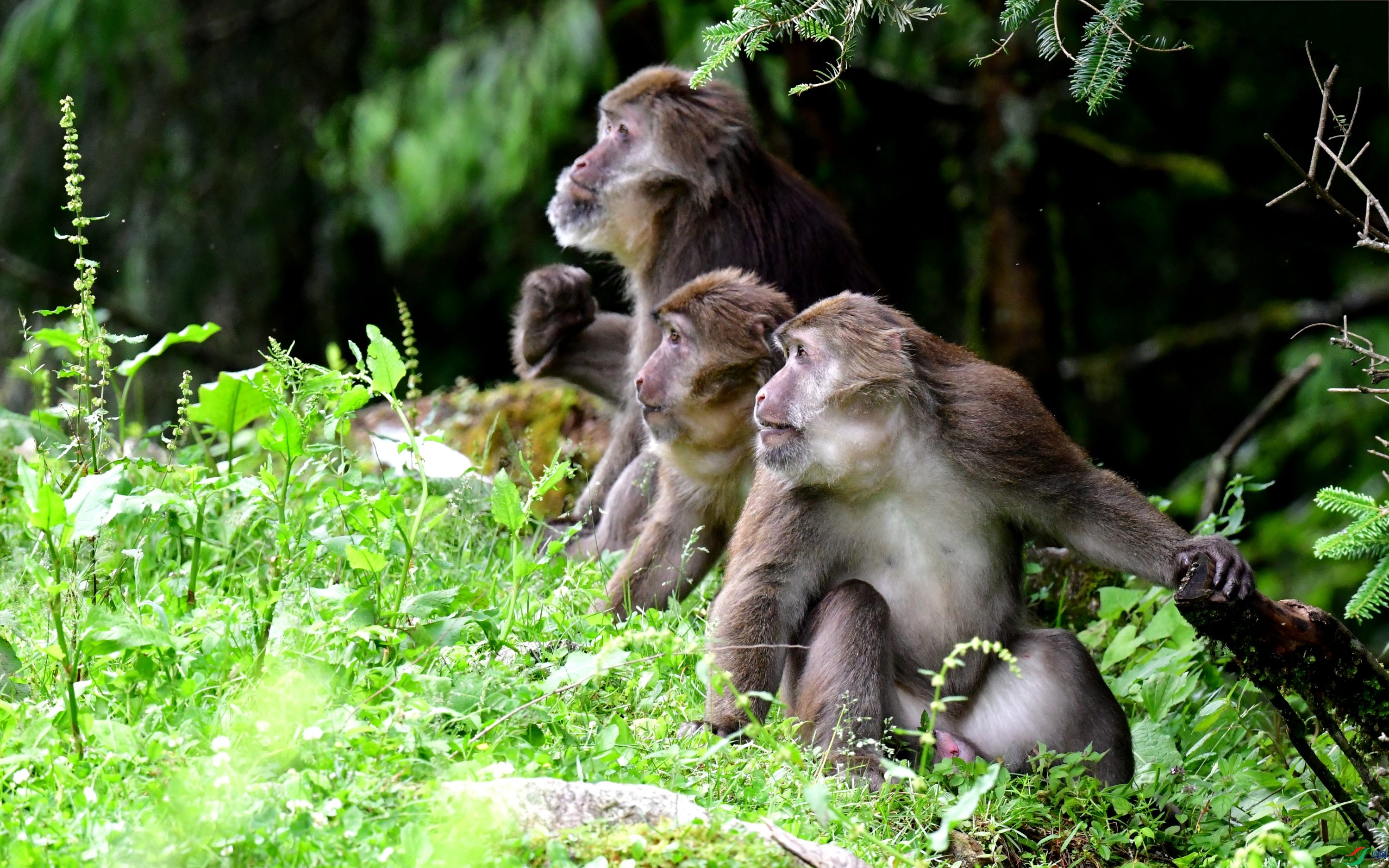 DSC_6170_conew1.jpg