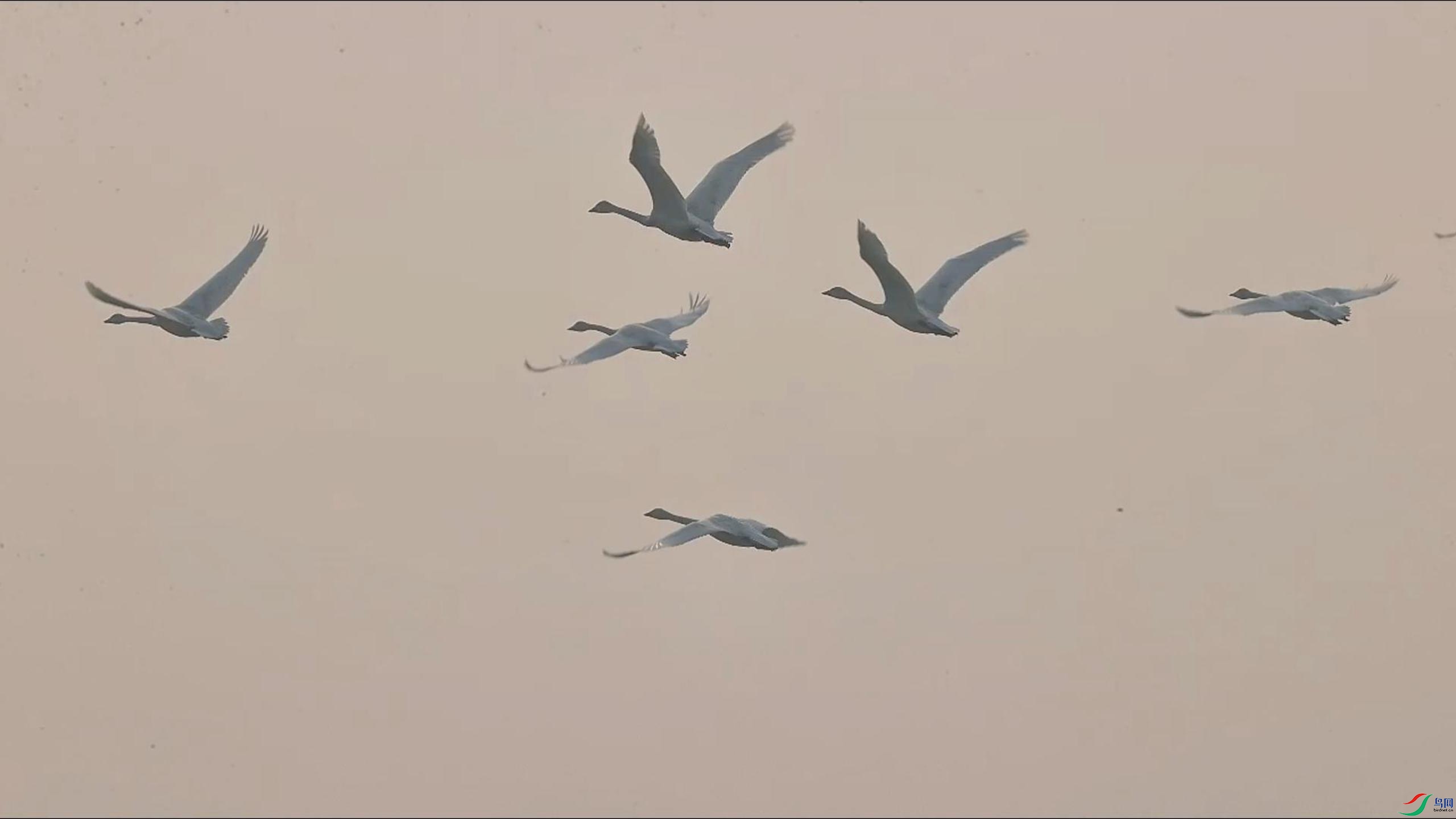 ����ˮ�硤�����е�С���-����.jpg