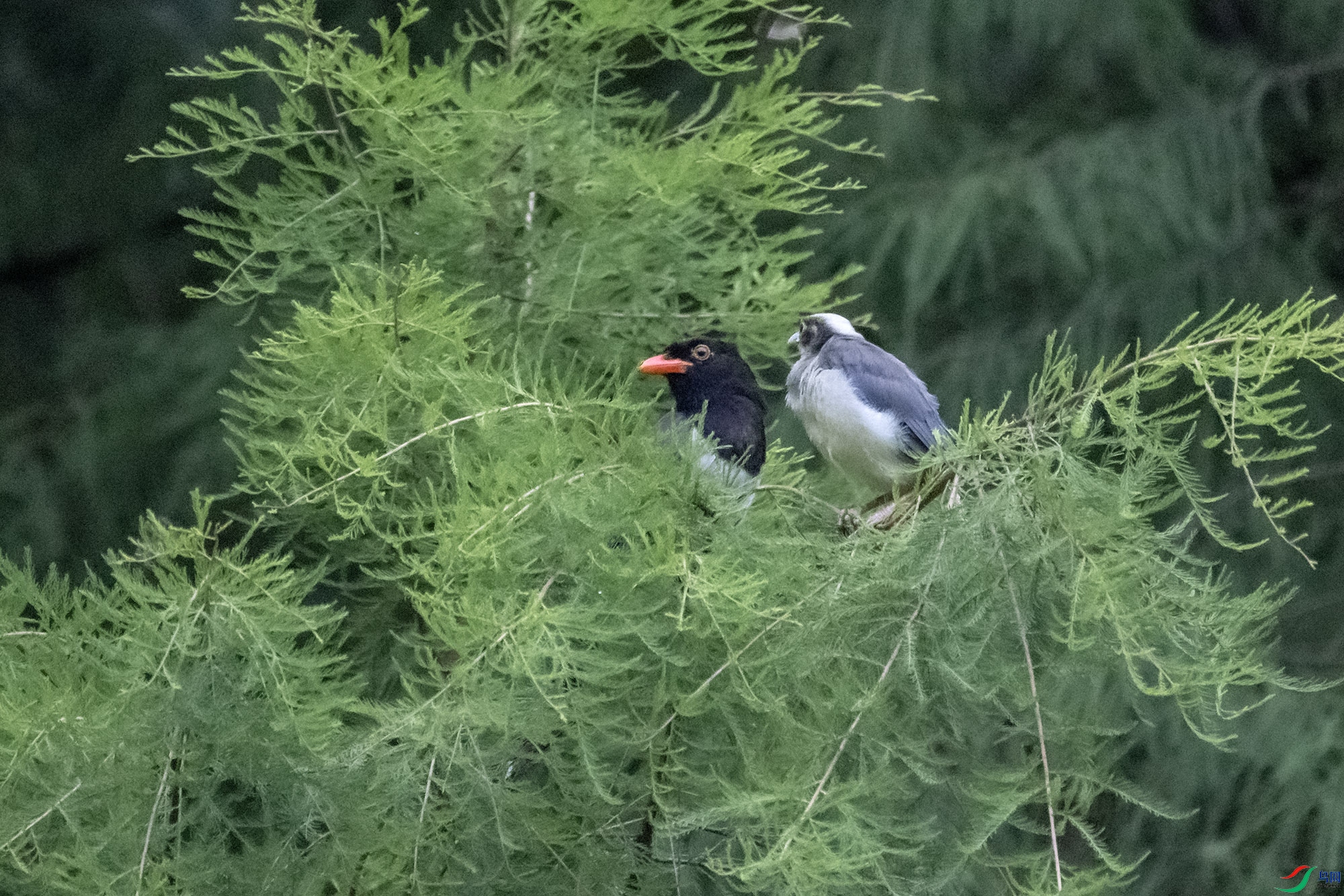DSC_0642.jpg
