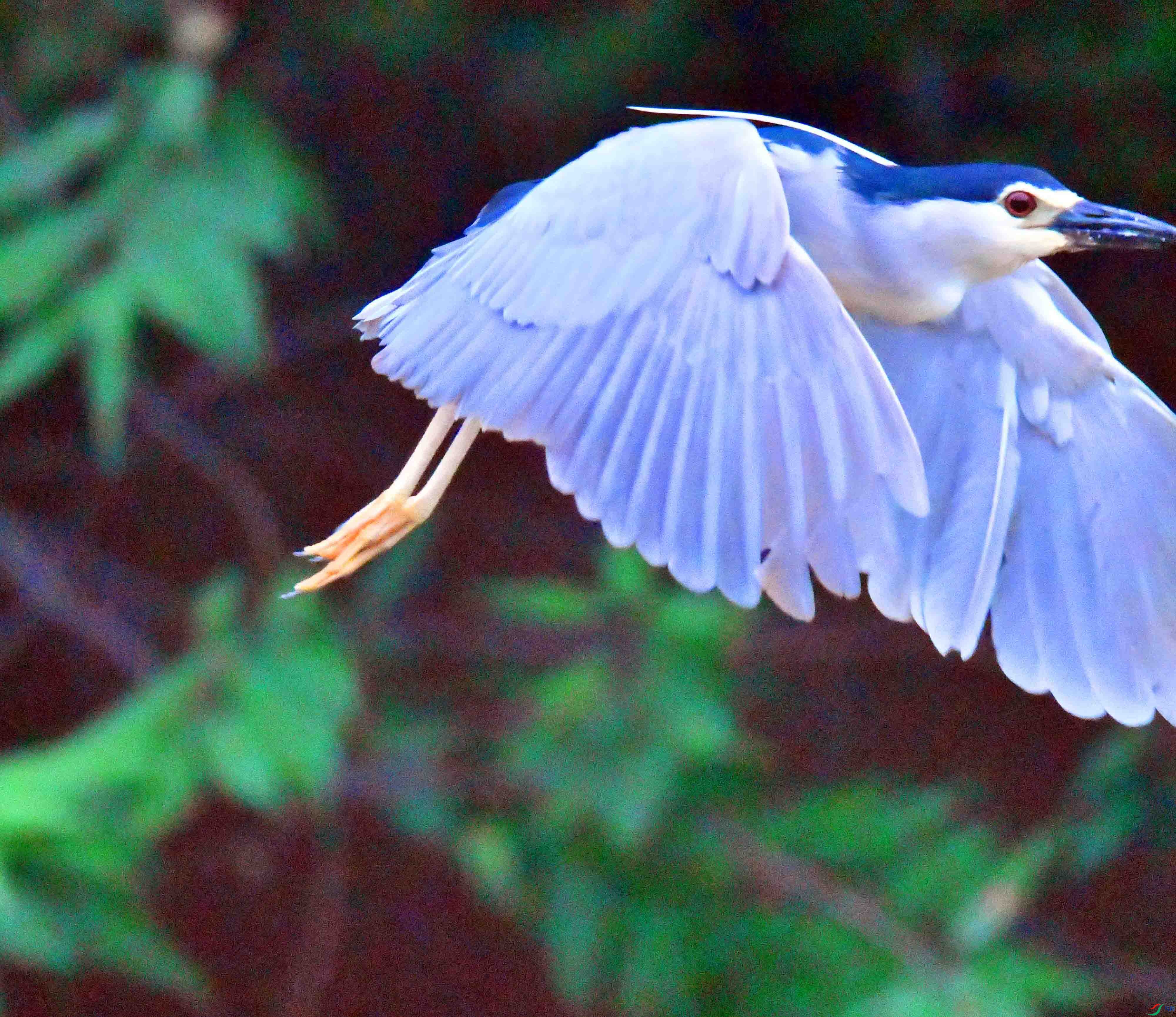 DSC_0663.JPG