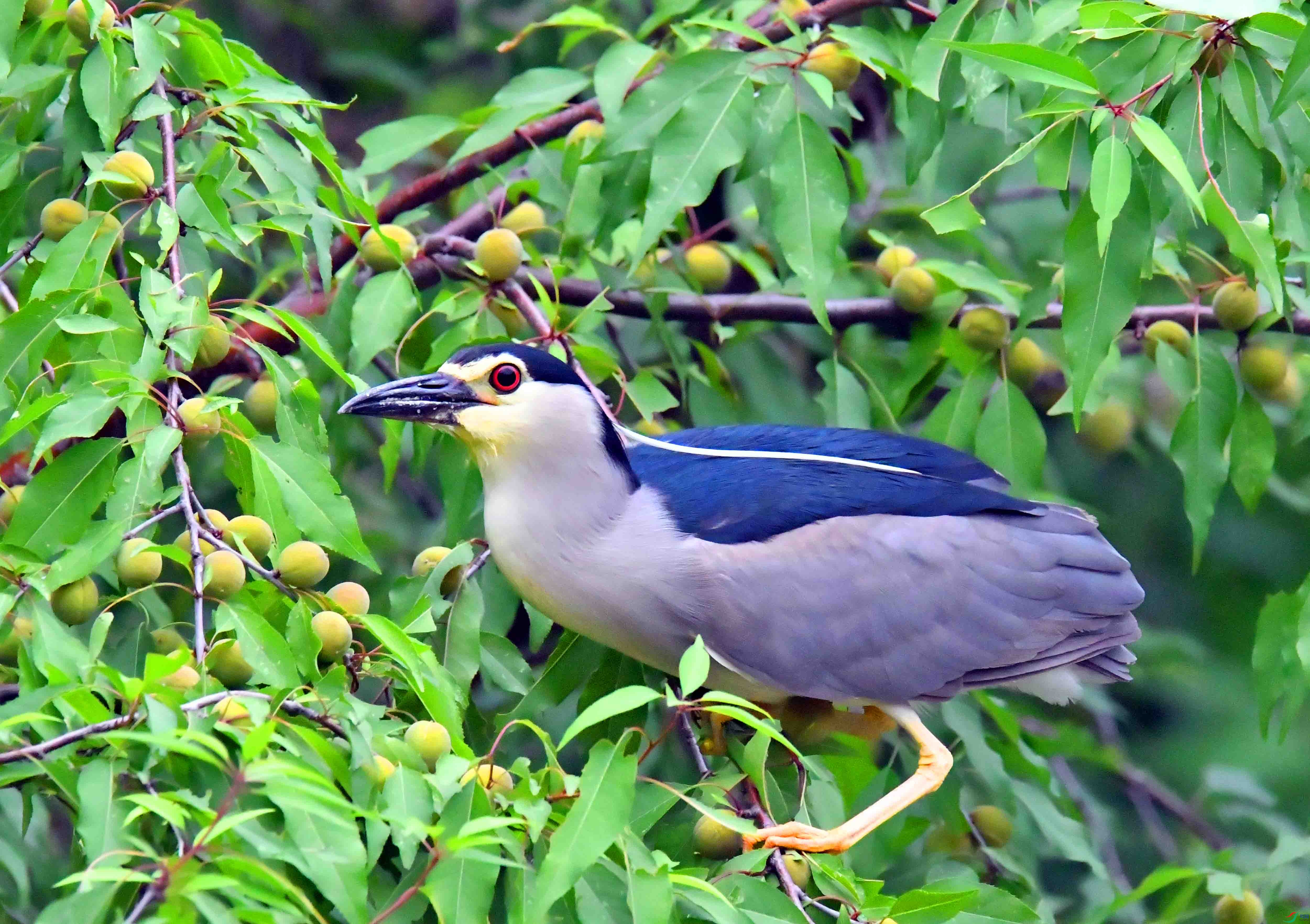 DSC_0893.JPG