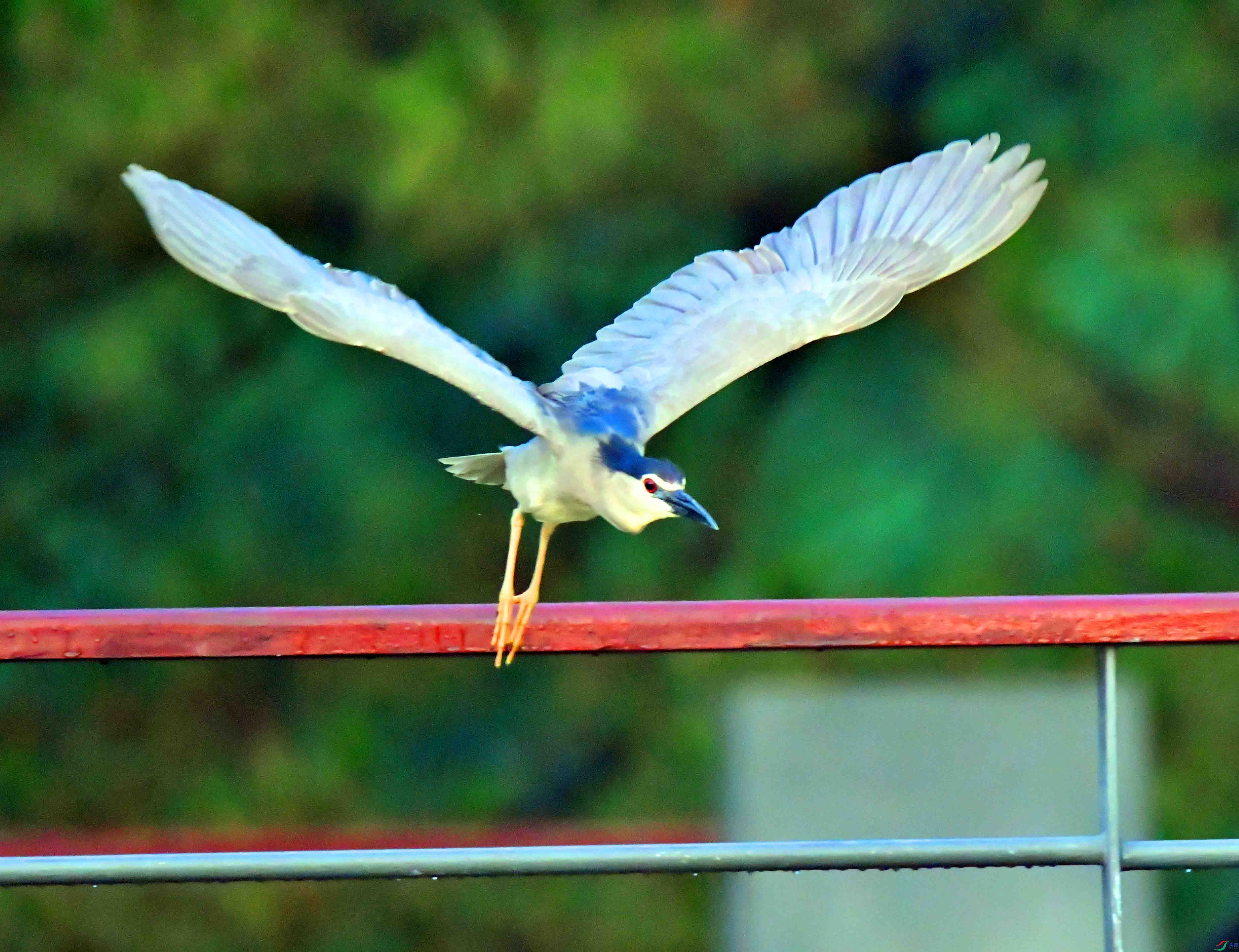 DSC_0996.JPG