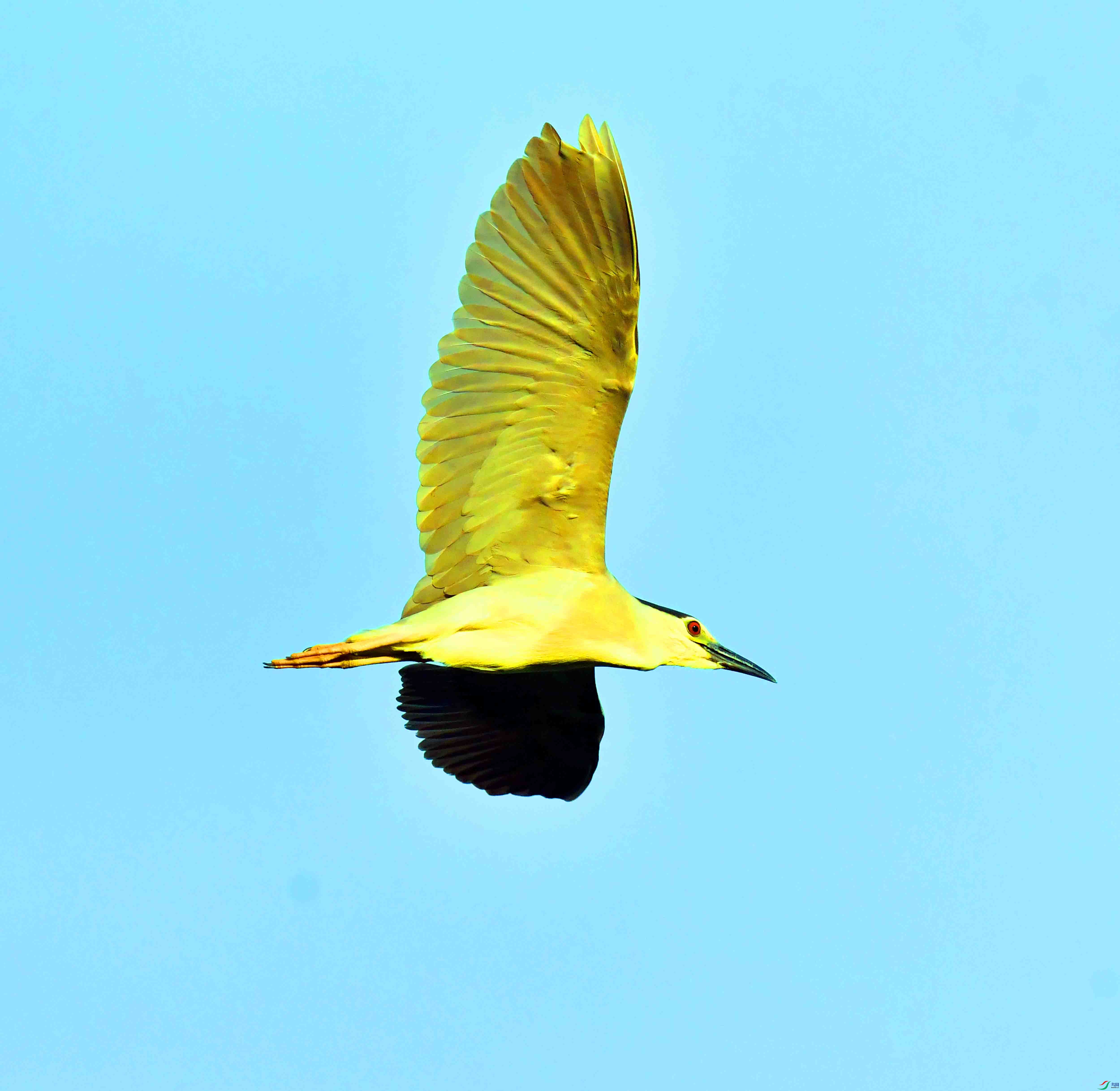 DSC_8256.JPG