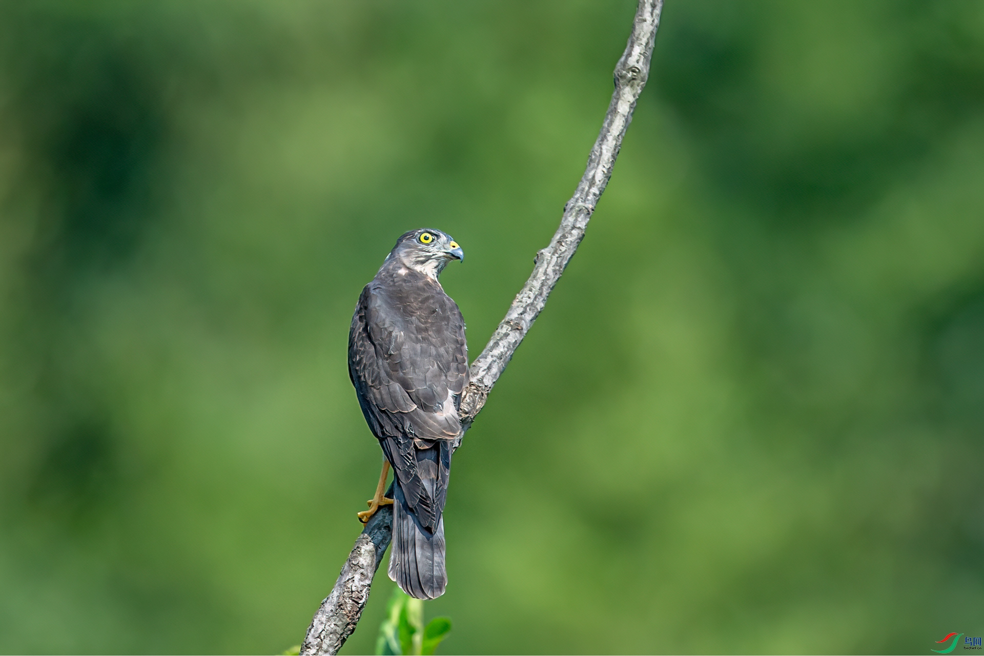 DSC_7444-11.jpg