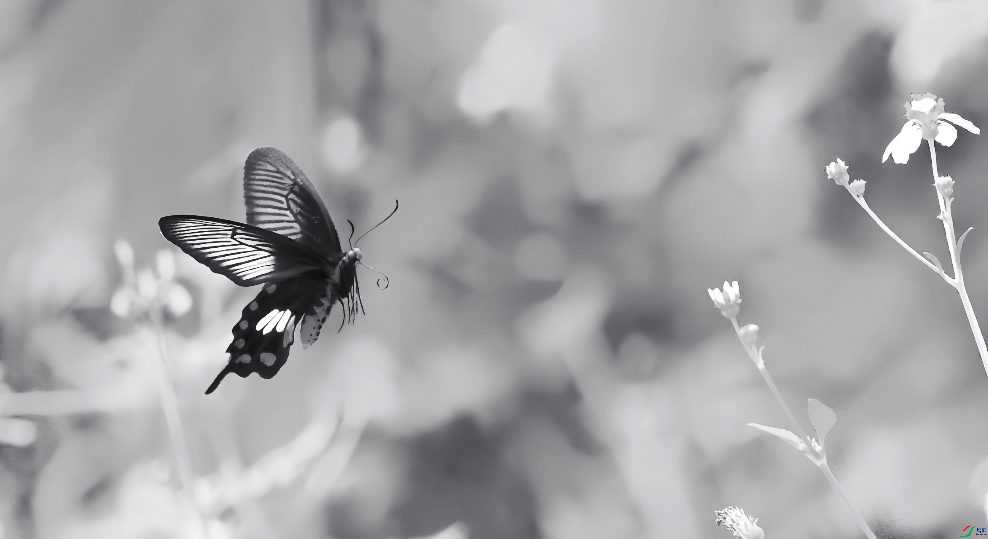 2F6A3548_����_����.jpg