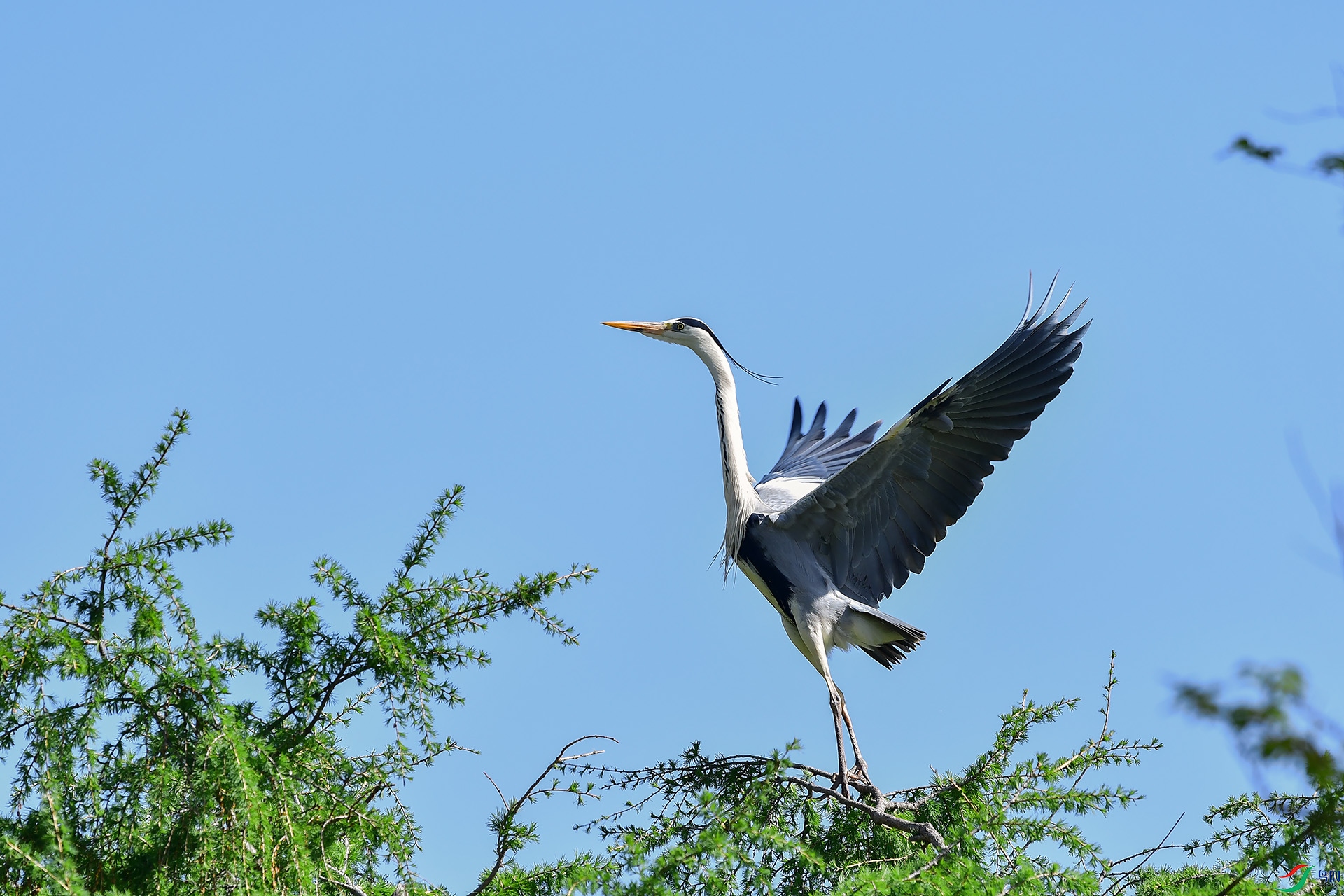 DSC_0322-1.jpg